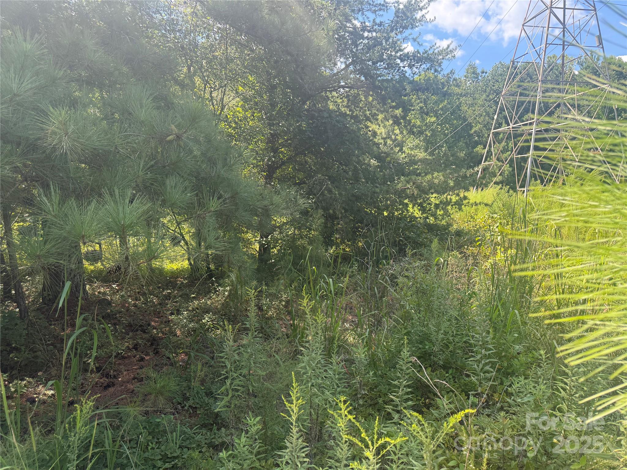 #21 Windy Pine Circle 21 Property Photo 2