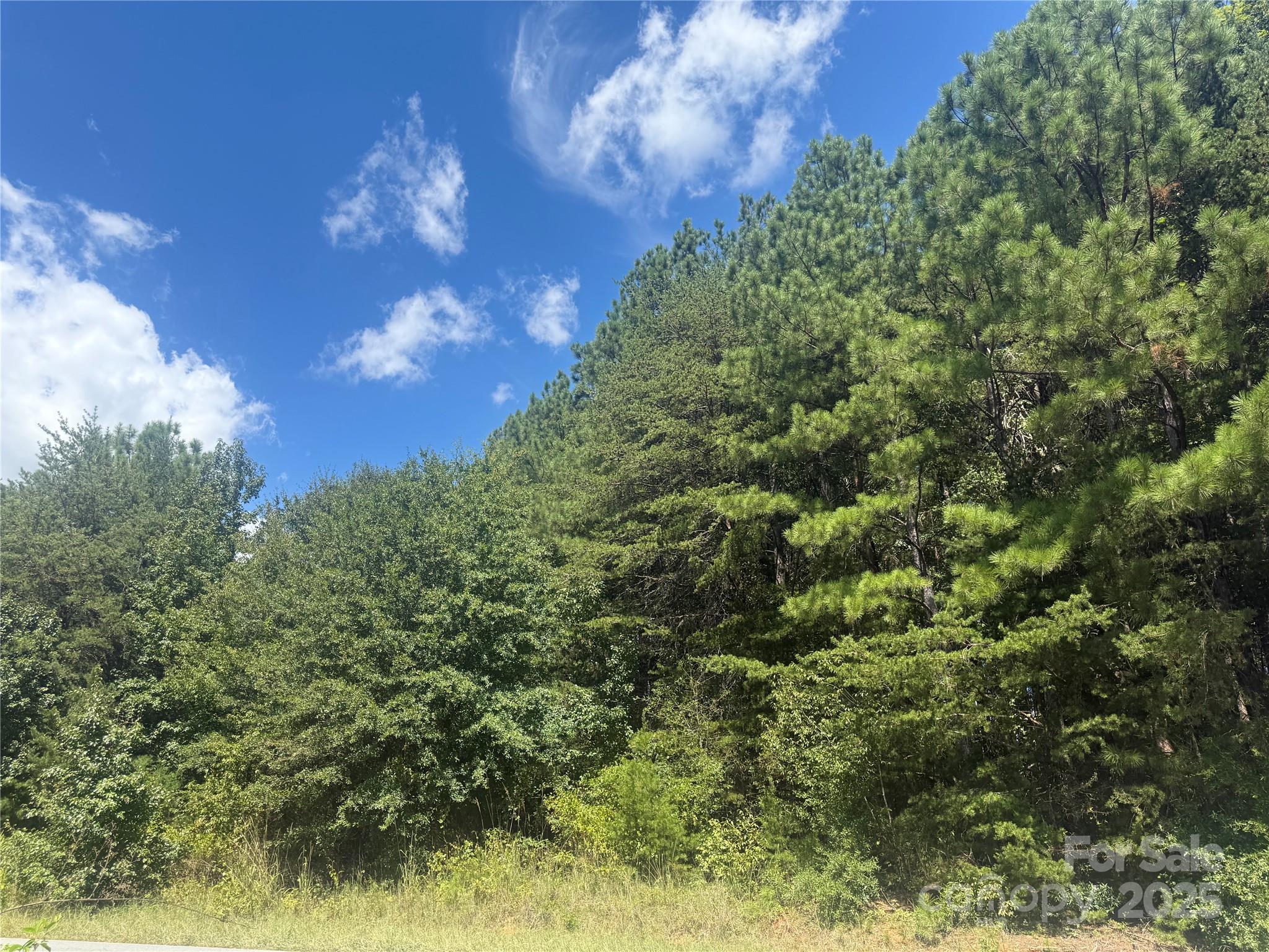 #21 Windy Pine Circle 21 Property Photo 3