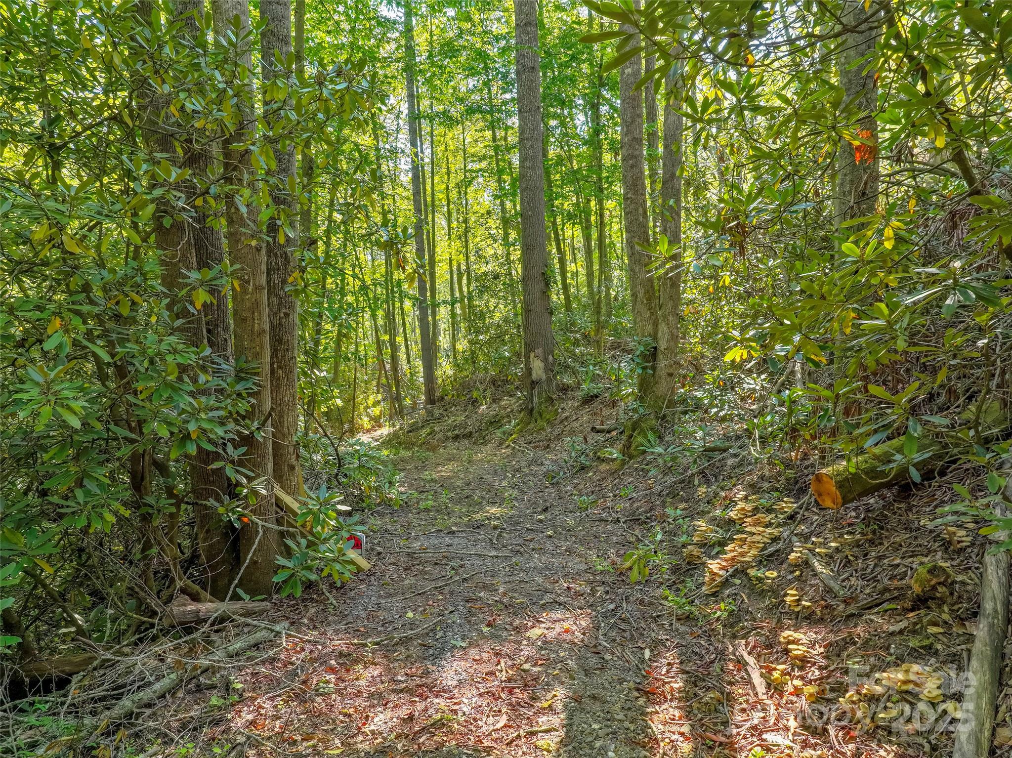 Lot 4 Rosewood Lane Property Photo 4