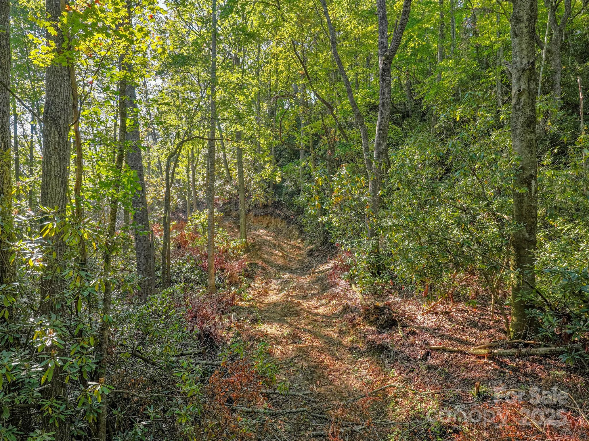 Lot 4 Rosewood Lane Property Photo 6