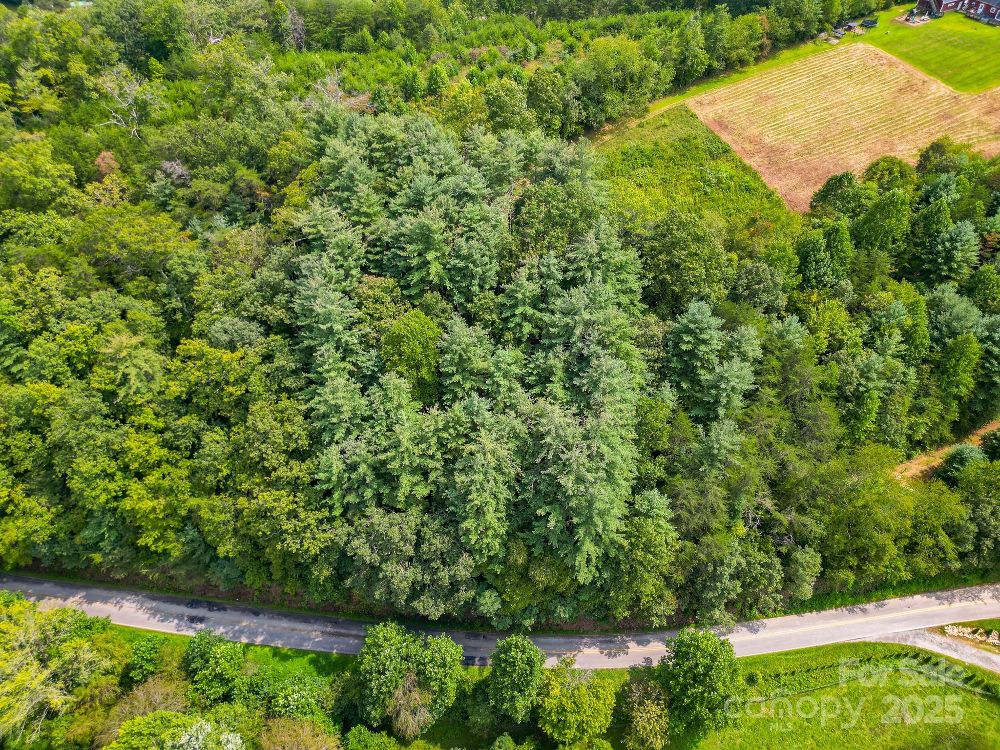 99999 Morgan Cove Road Property Photo 5