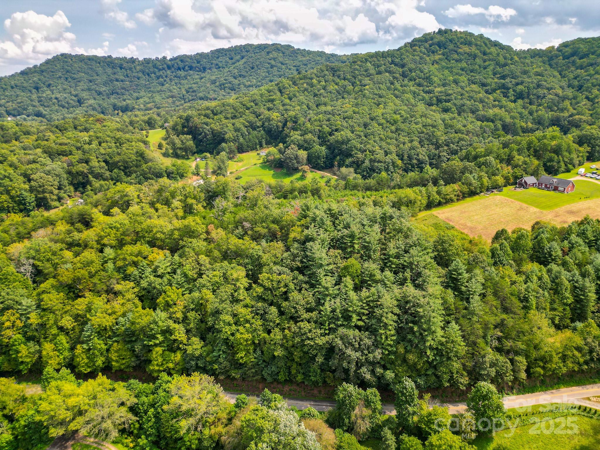 99999 Morgan Cove Road Property Photo 8