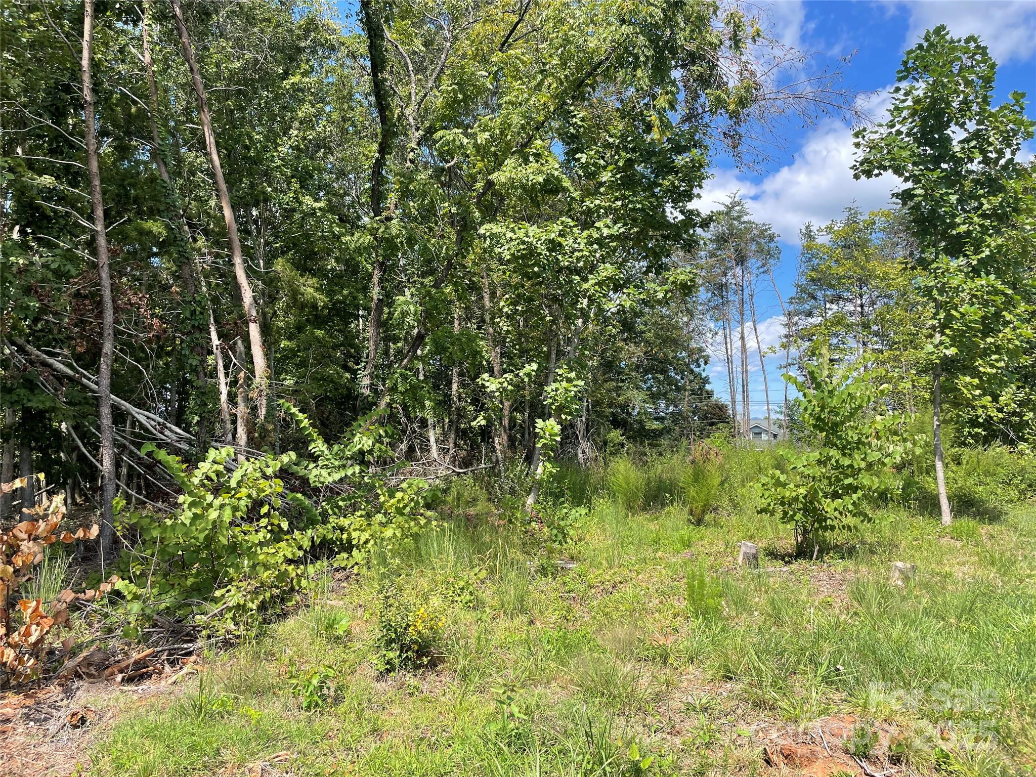 00 Carriage Drive Property Photo 2