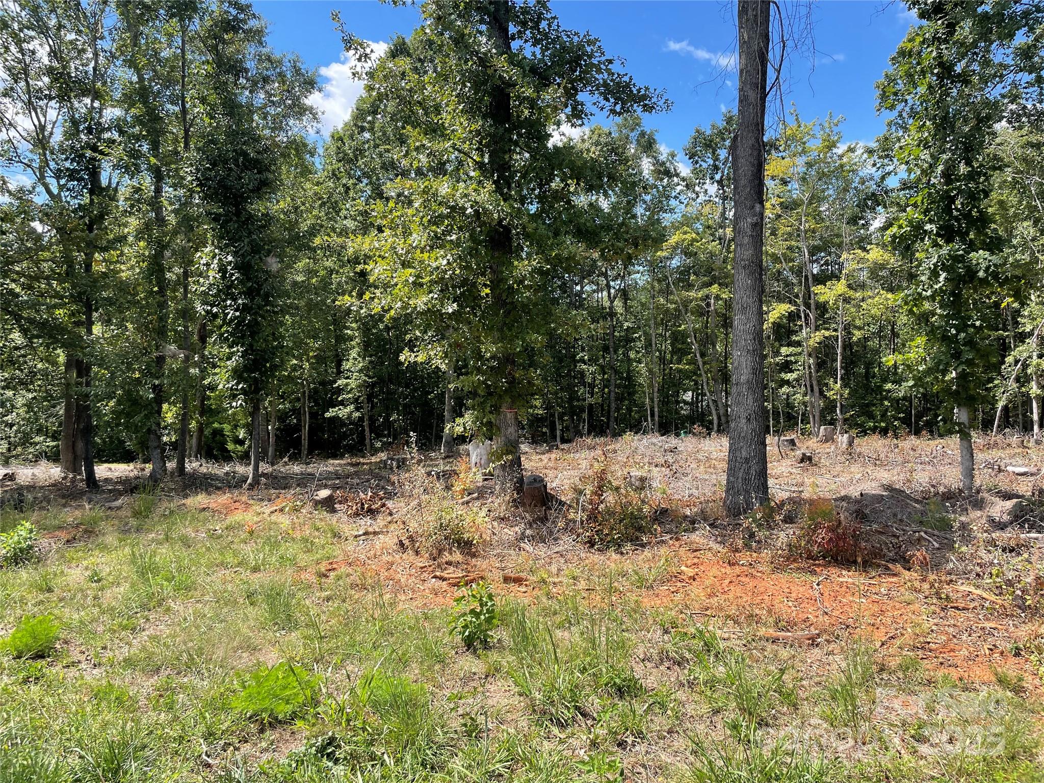 00 Carriage Drive Property Photo 5