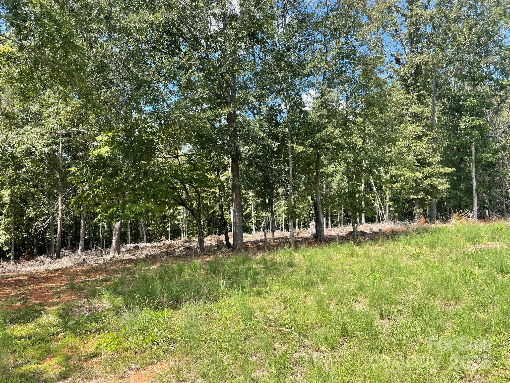 00 Carriage Drive Property Photo 6