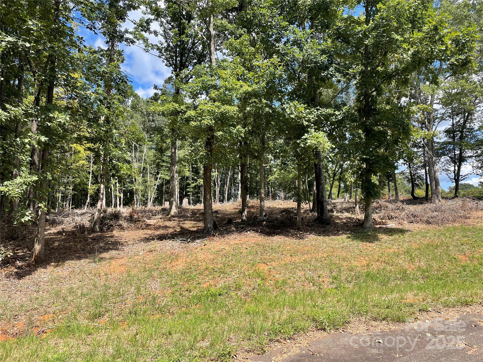 00 Carriage Drive Property Photo 7