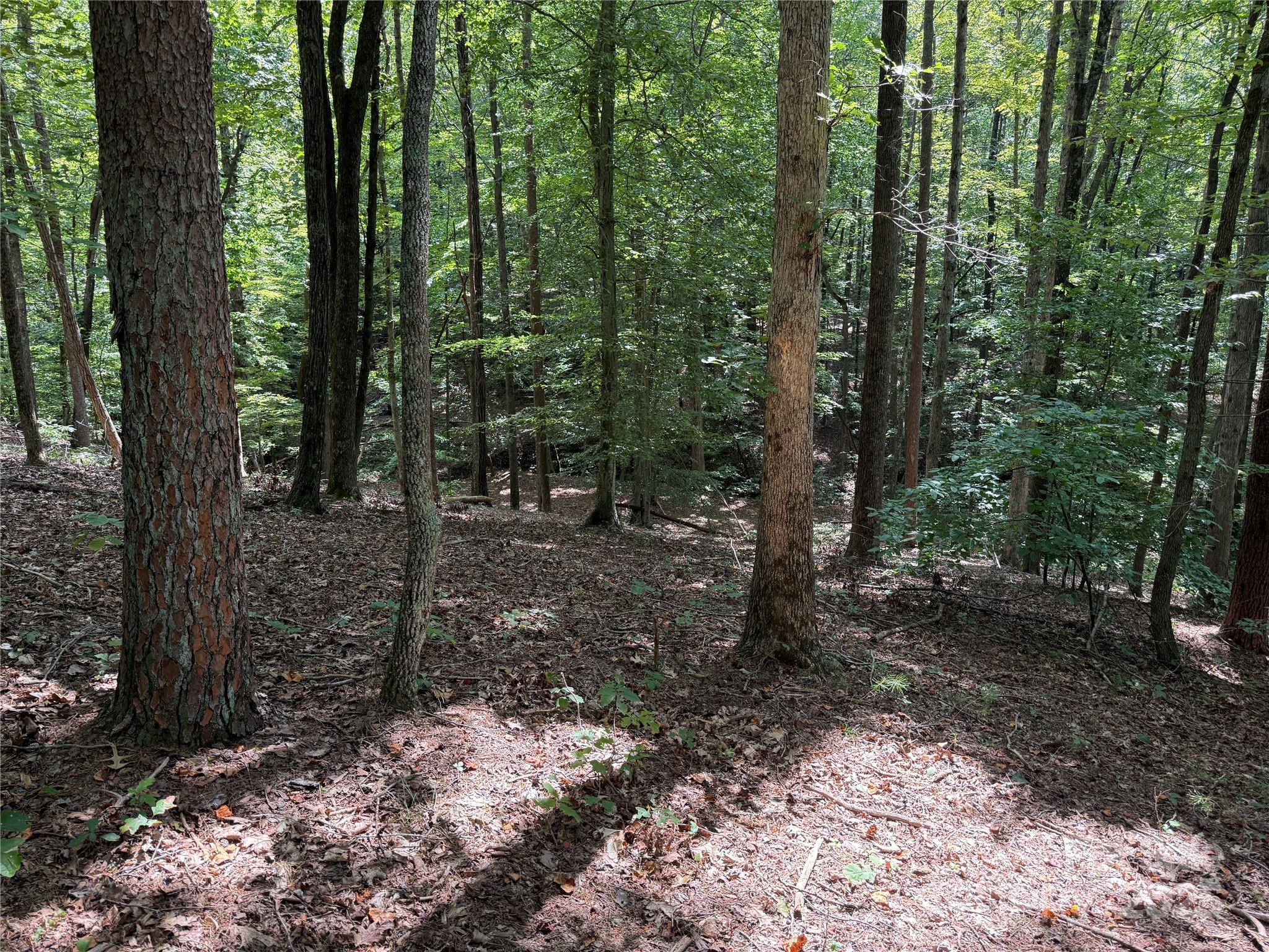 0 Mountain Brook Trail 298 Property Photo 1