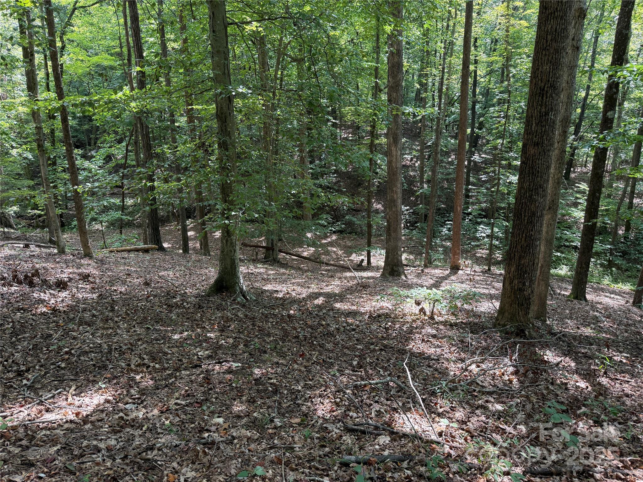 0 Mountain Brook Trail 298 Property Photo 2