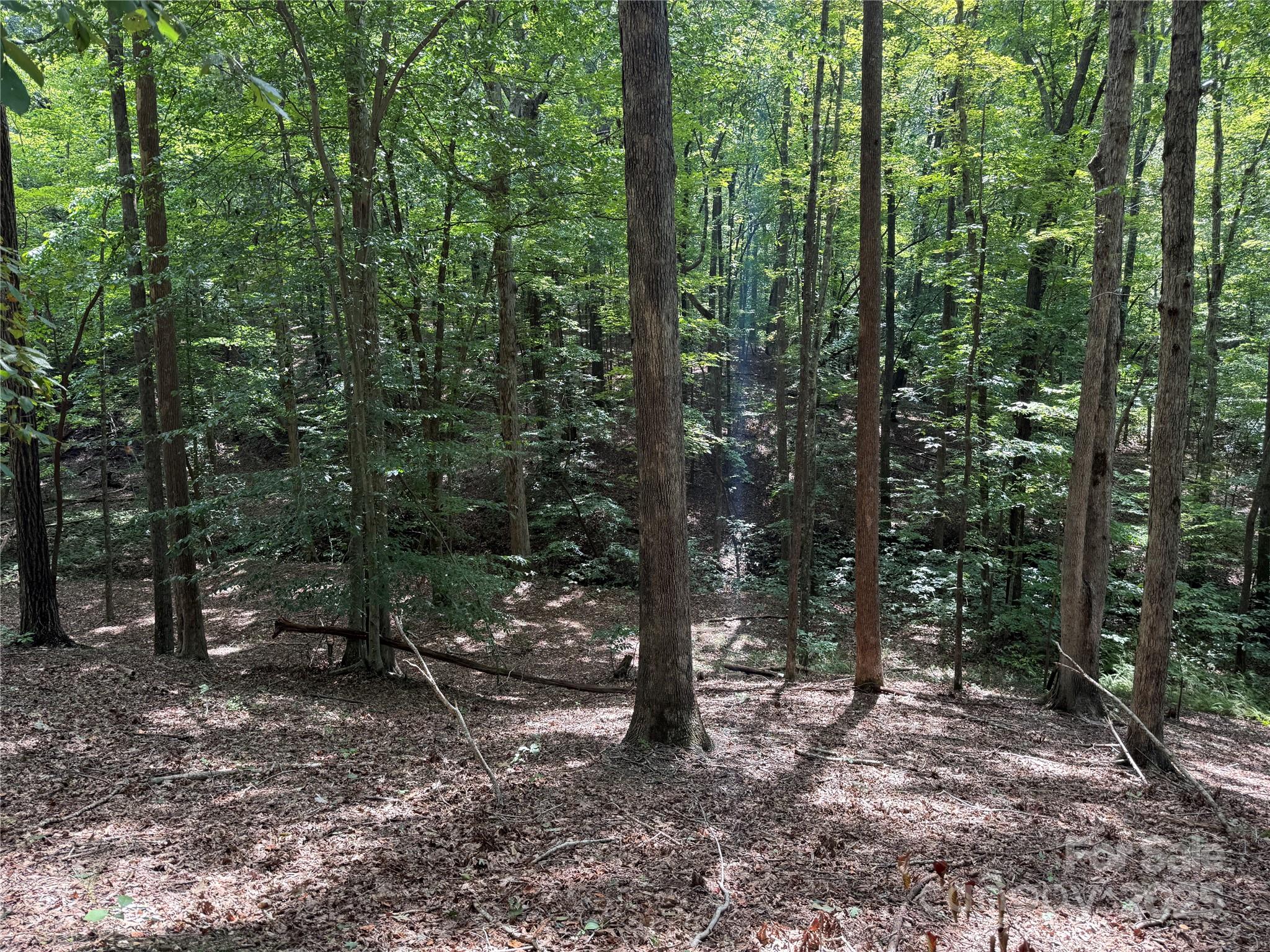 0 Mountain Brook Trail 298 Property Photo 3