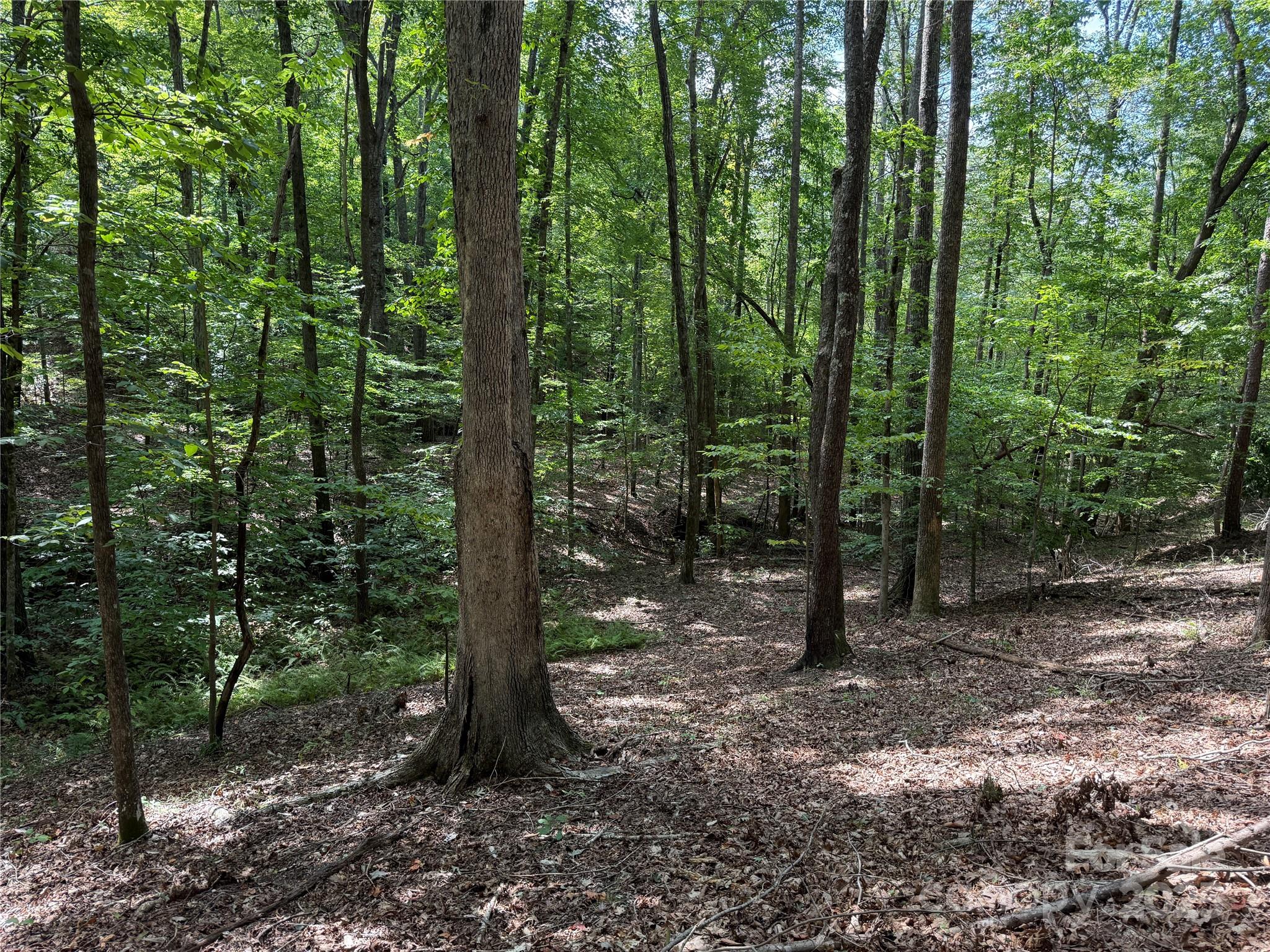 0 Mountain Brook Trail 298 Property Photo 4