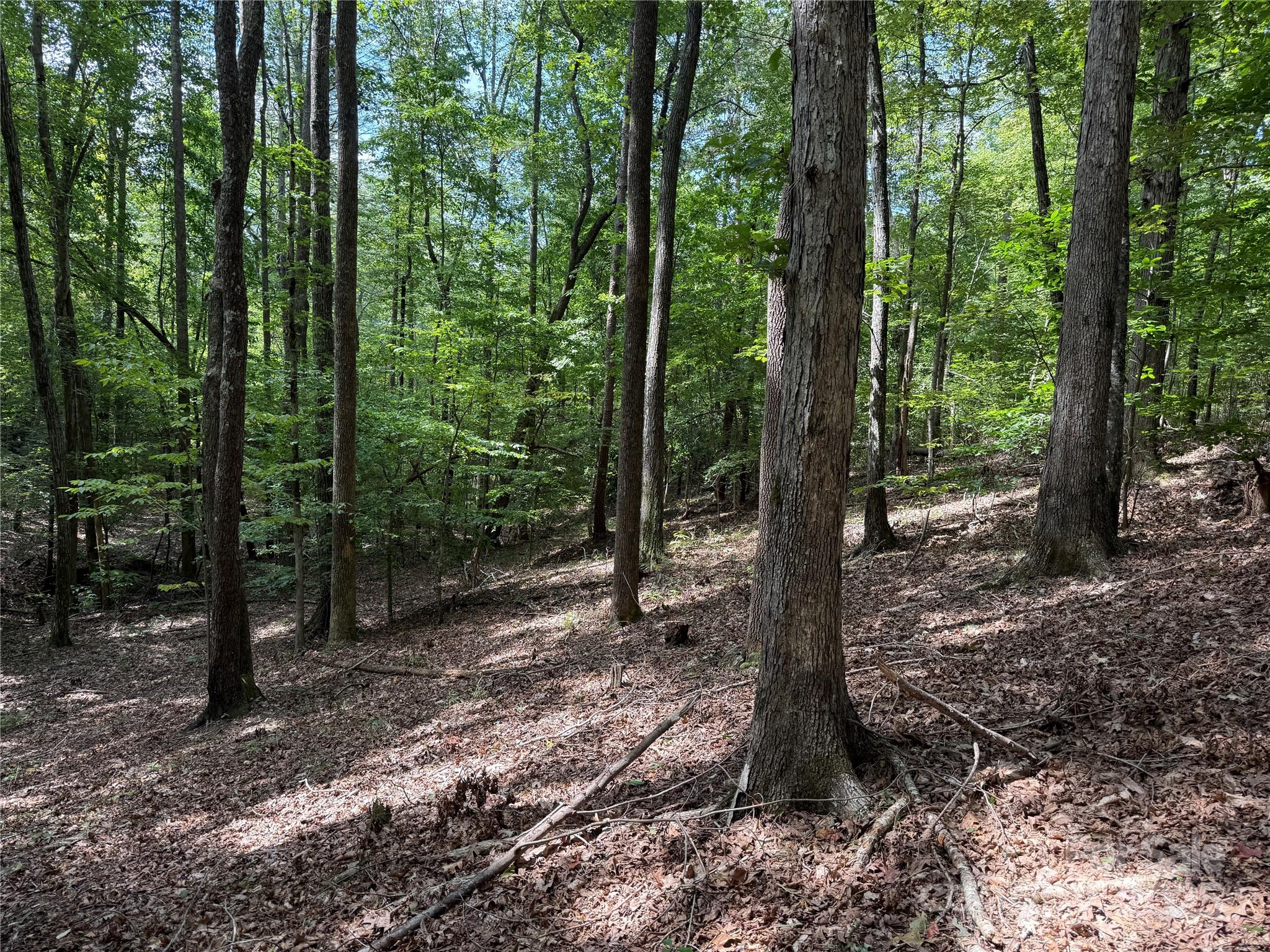 0 Mountain Brook Trail 298 Property Photo 5