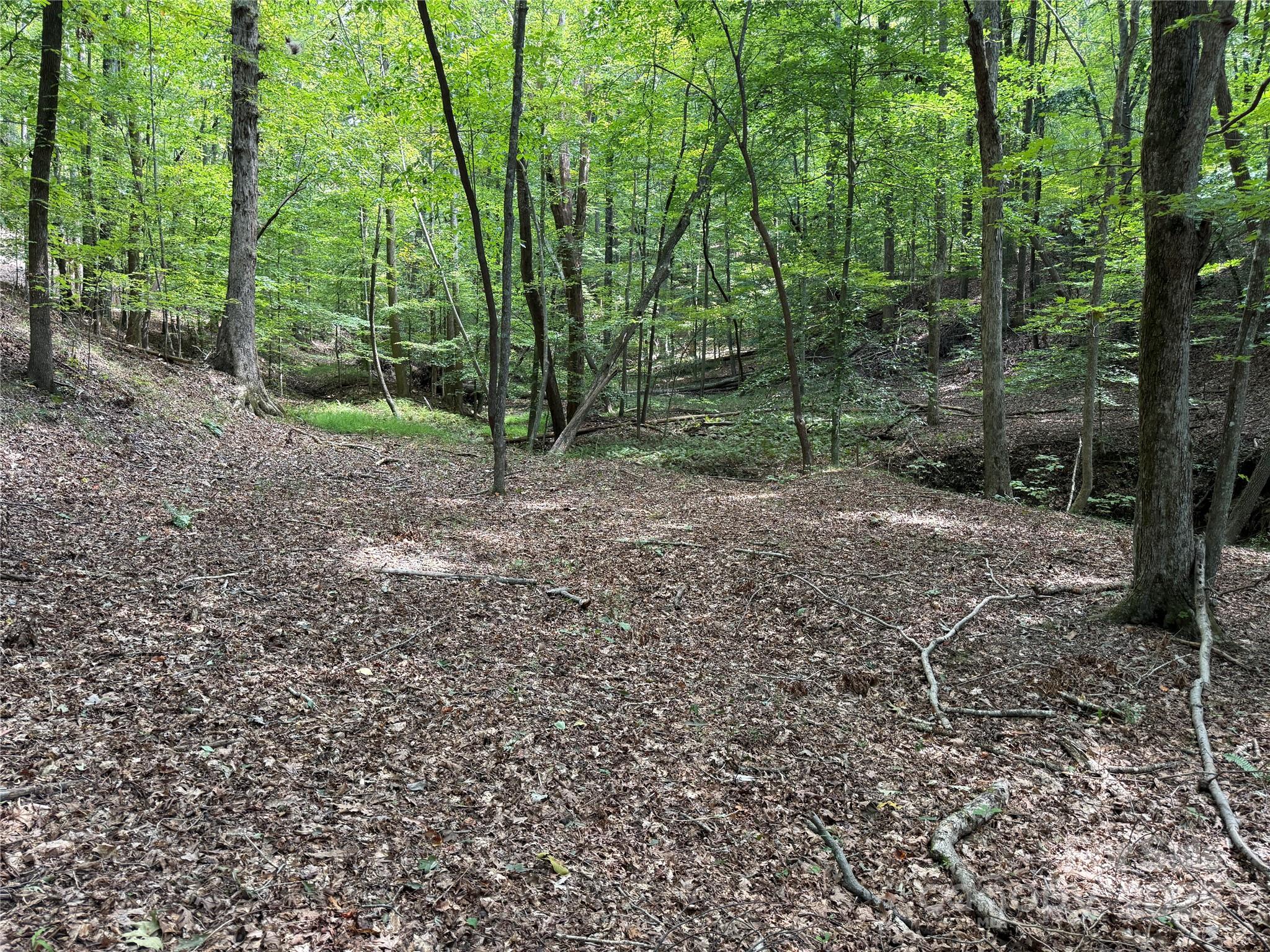 0 Mountain Brook Trail 298 Property Photo 6