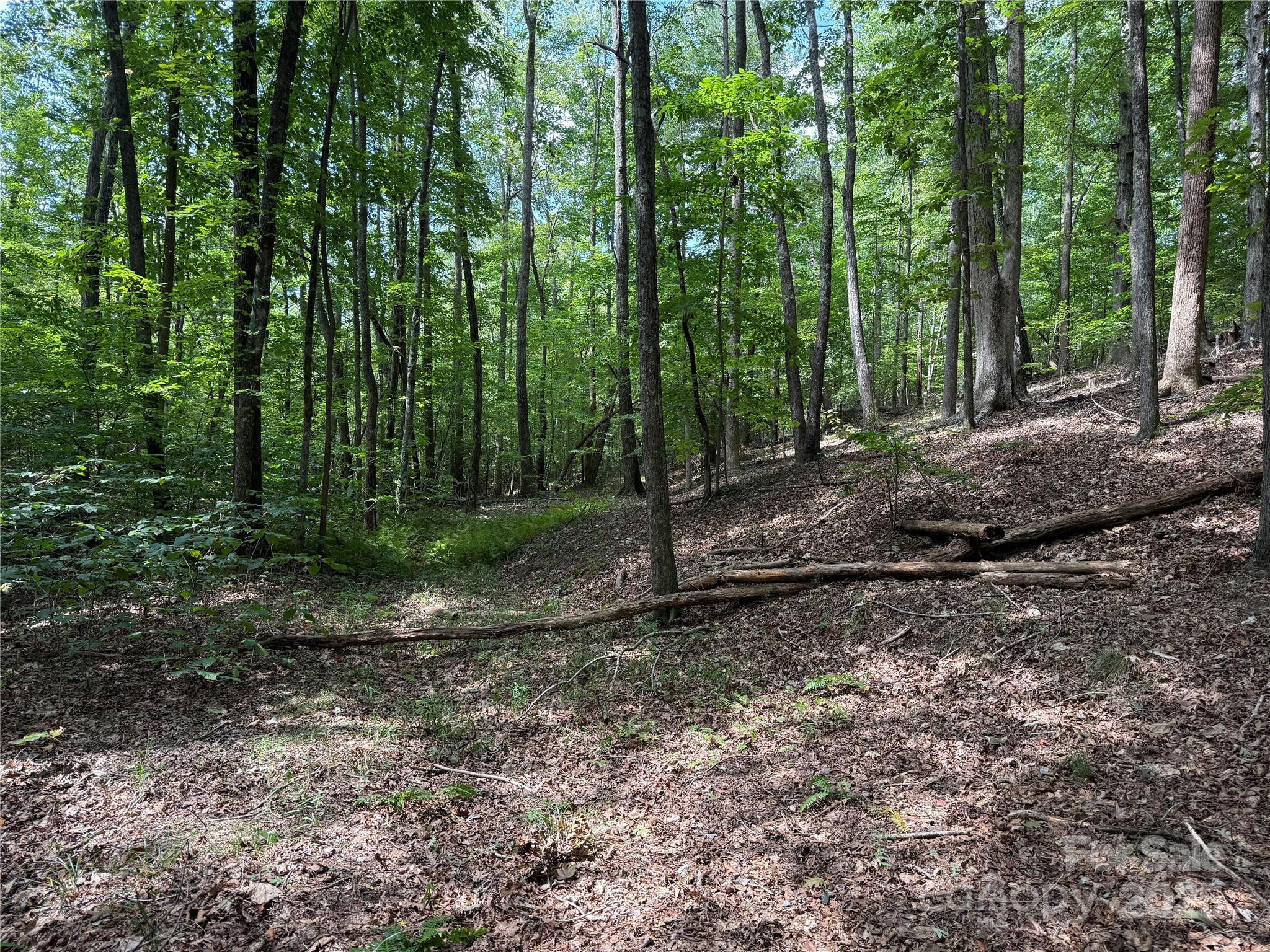 0 Mountain Brook Trail 298 Property Photo 7