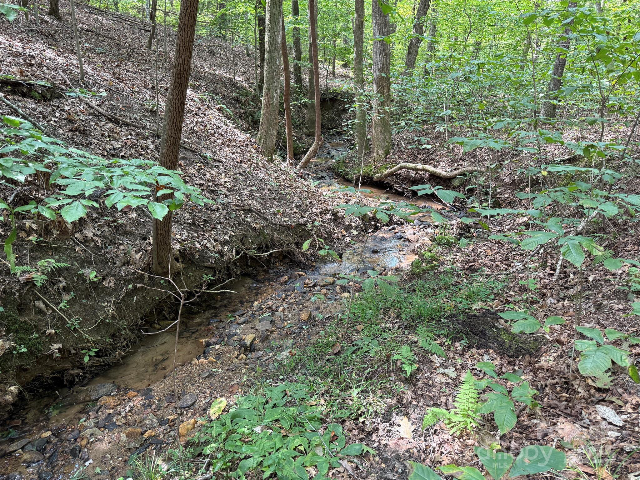 0 Mountain Brook Trail 298 Property Photo 8