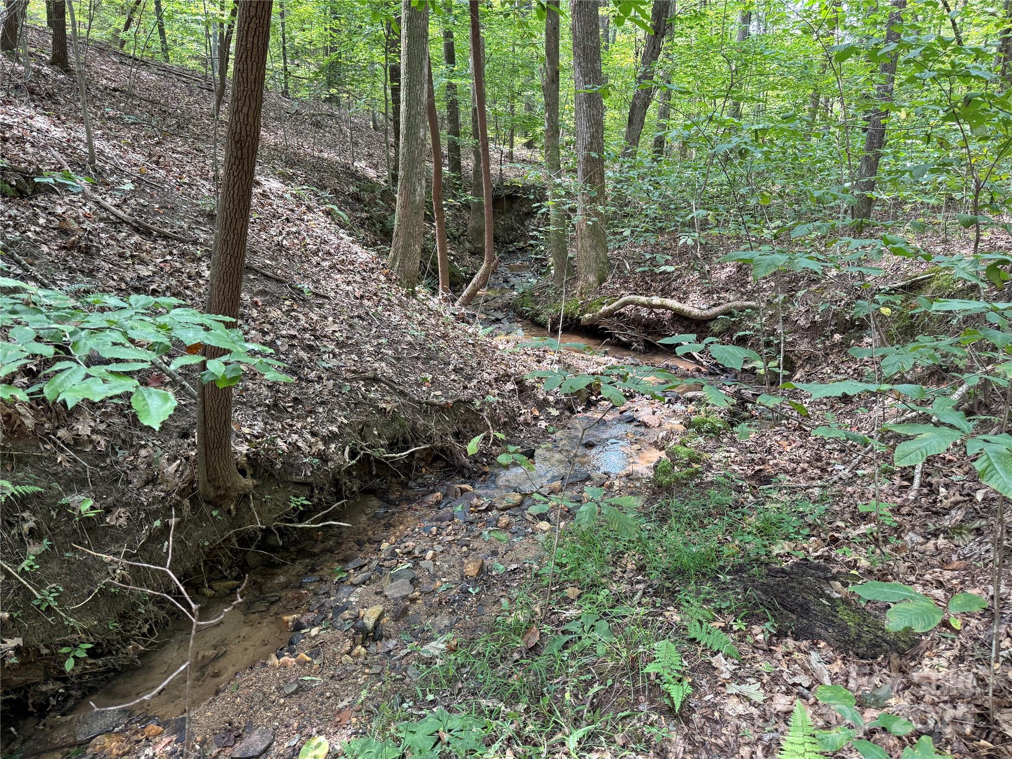 0 Mountain Brook Trail 298 Property Photo 9