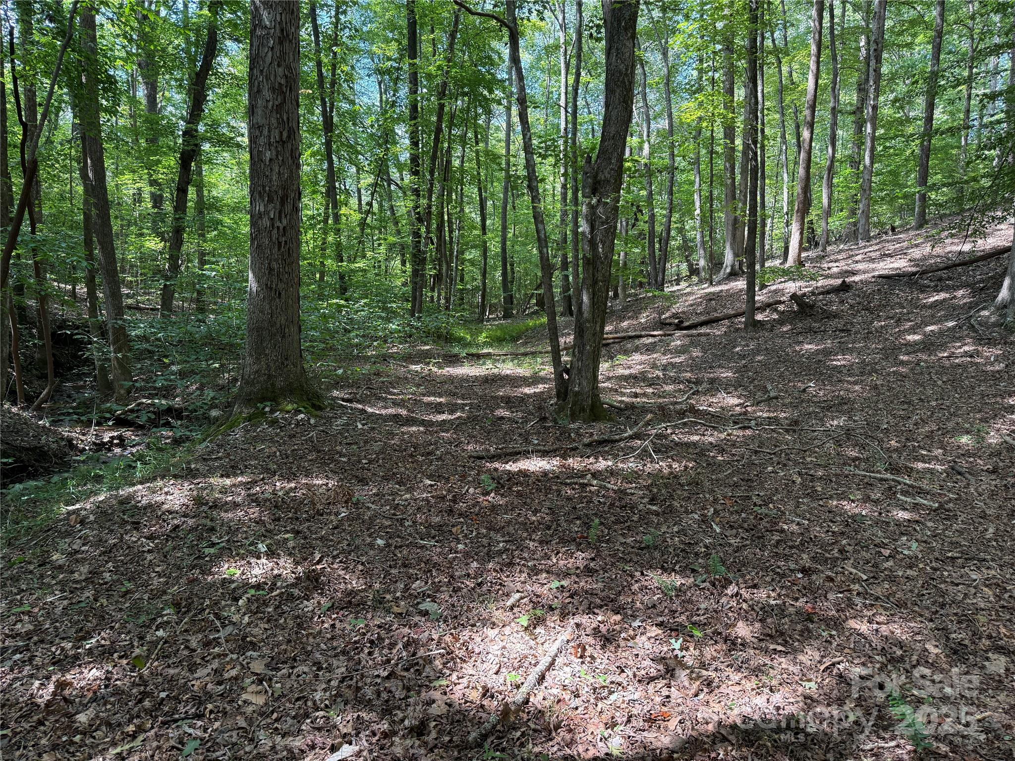 0 Mountain Brook Trail 298 Property Photo 13