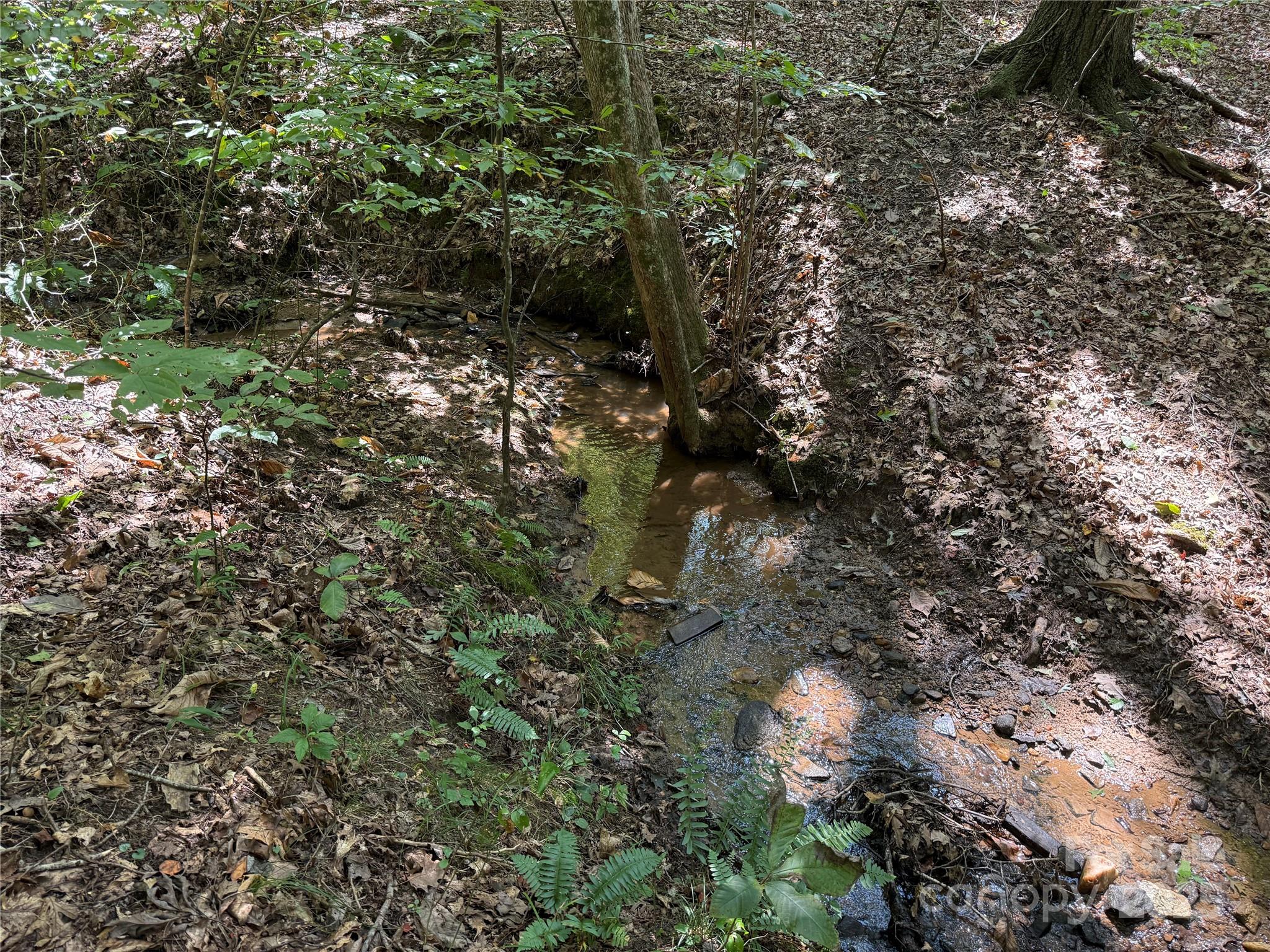 0 Mountain Brook Trail 298 Property Photo 14