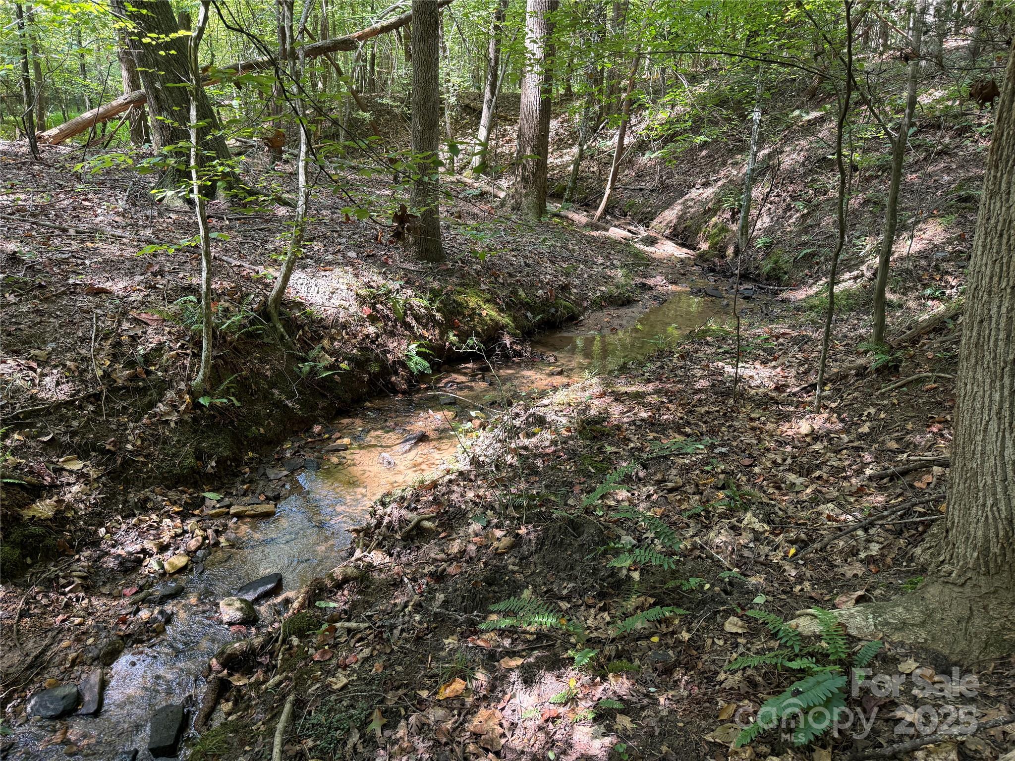 0 Mountain Brook Trail 298 Property Photo 15