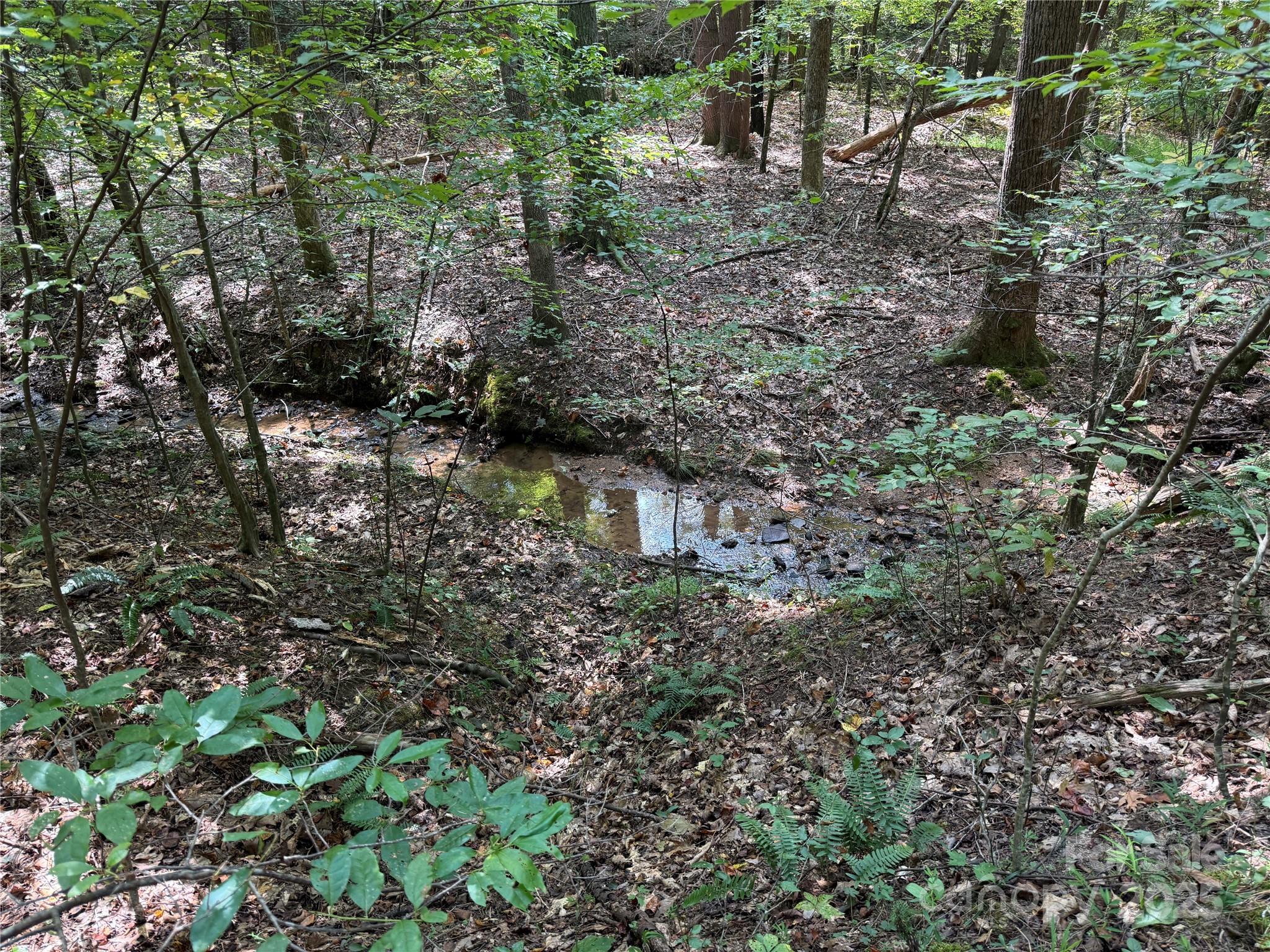 0 Mountain Brook Trail 298 Property Photo 16