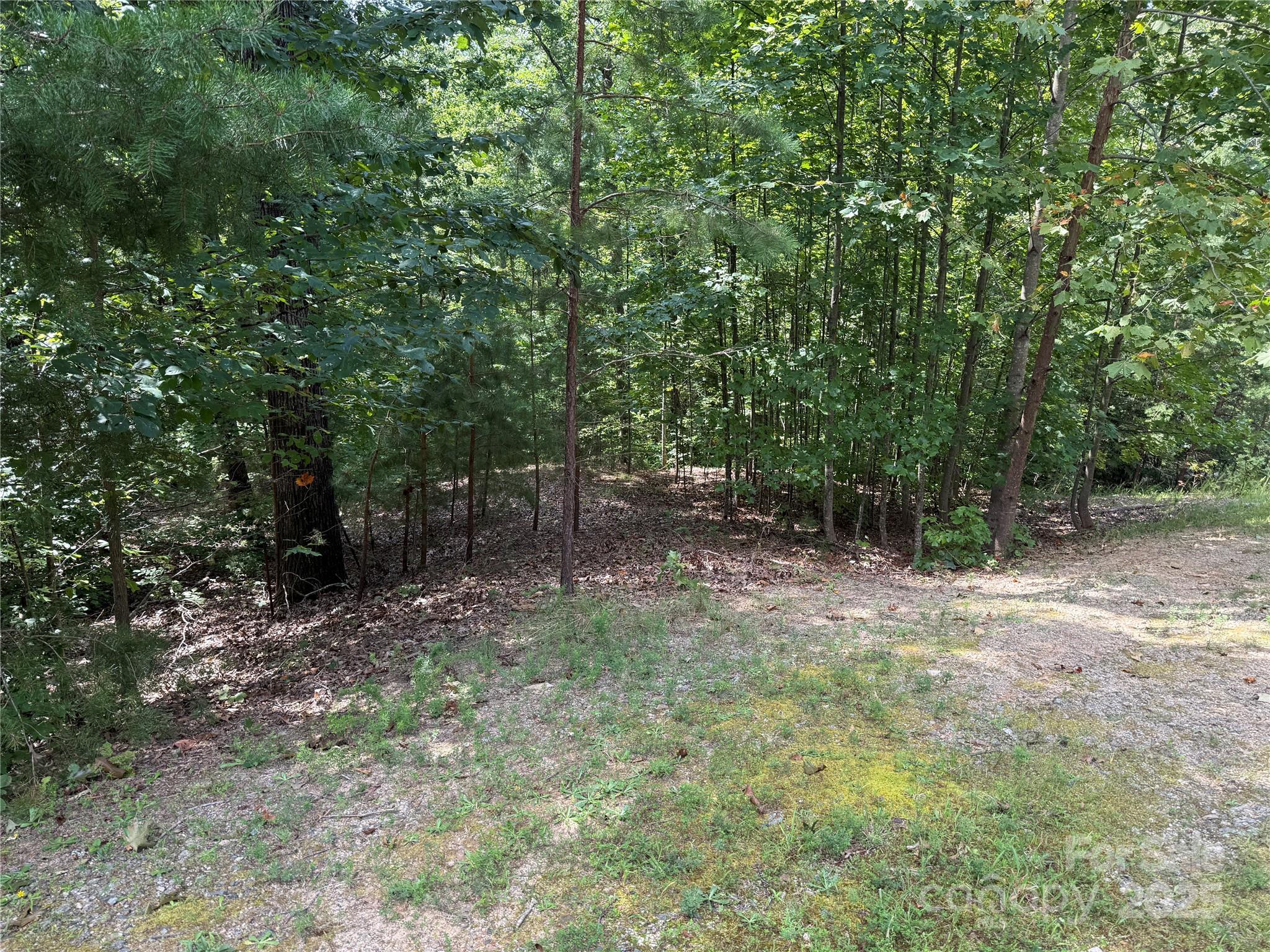 0 Mountain Brook Trail 298 Property Photo 19