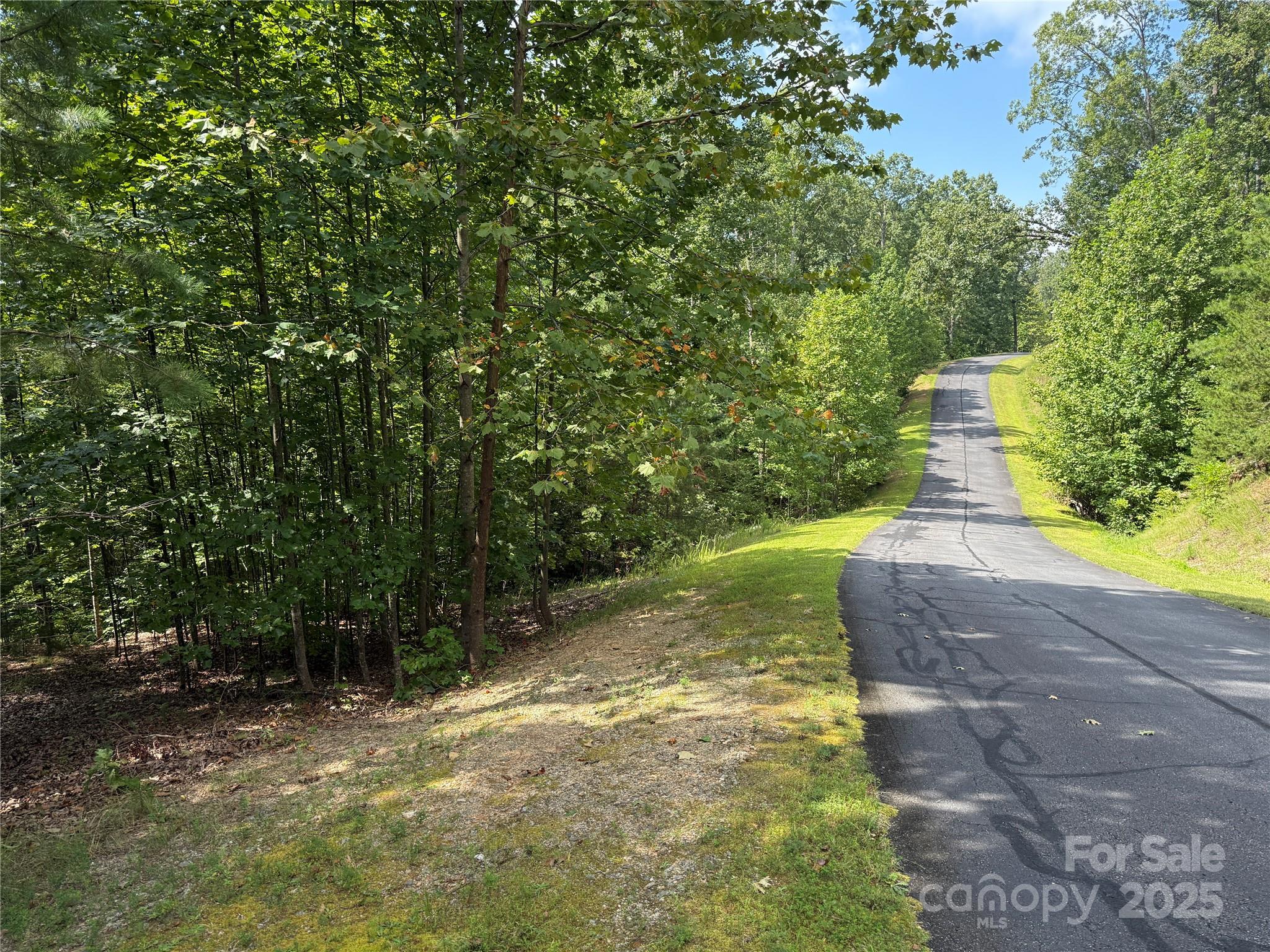 0 Mountain Brook Trail 298 Property Photo 20