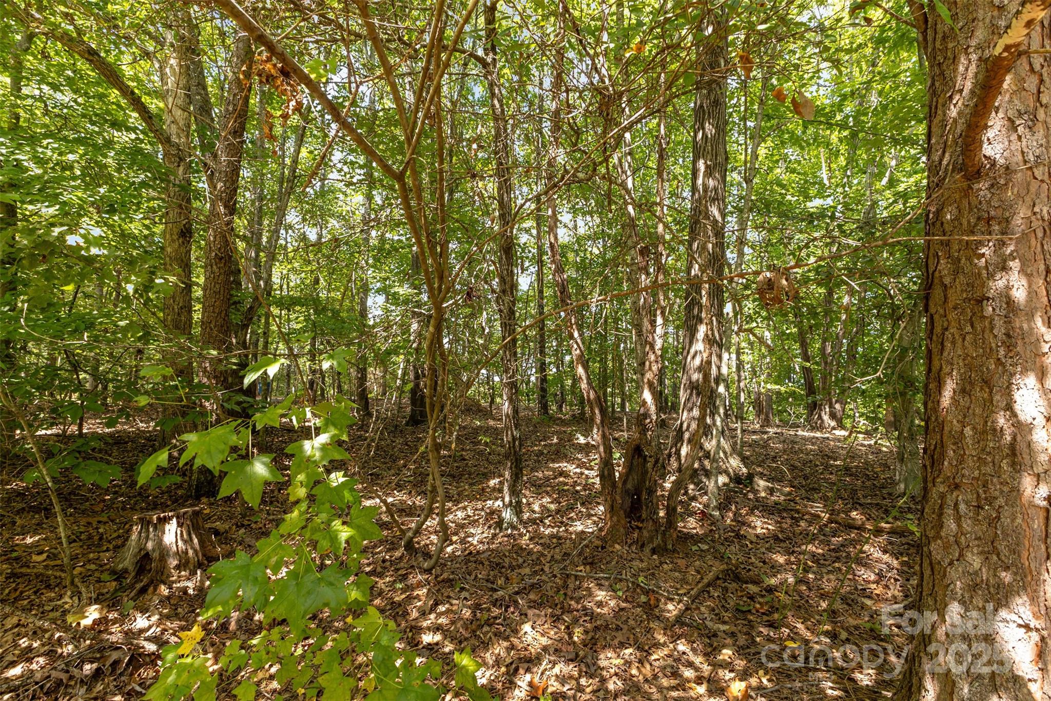 8068 Summit Ridge Drive Property Photo 29