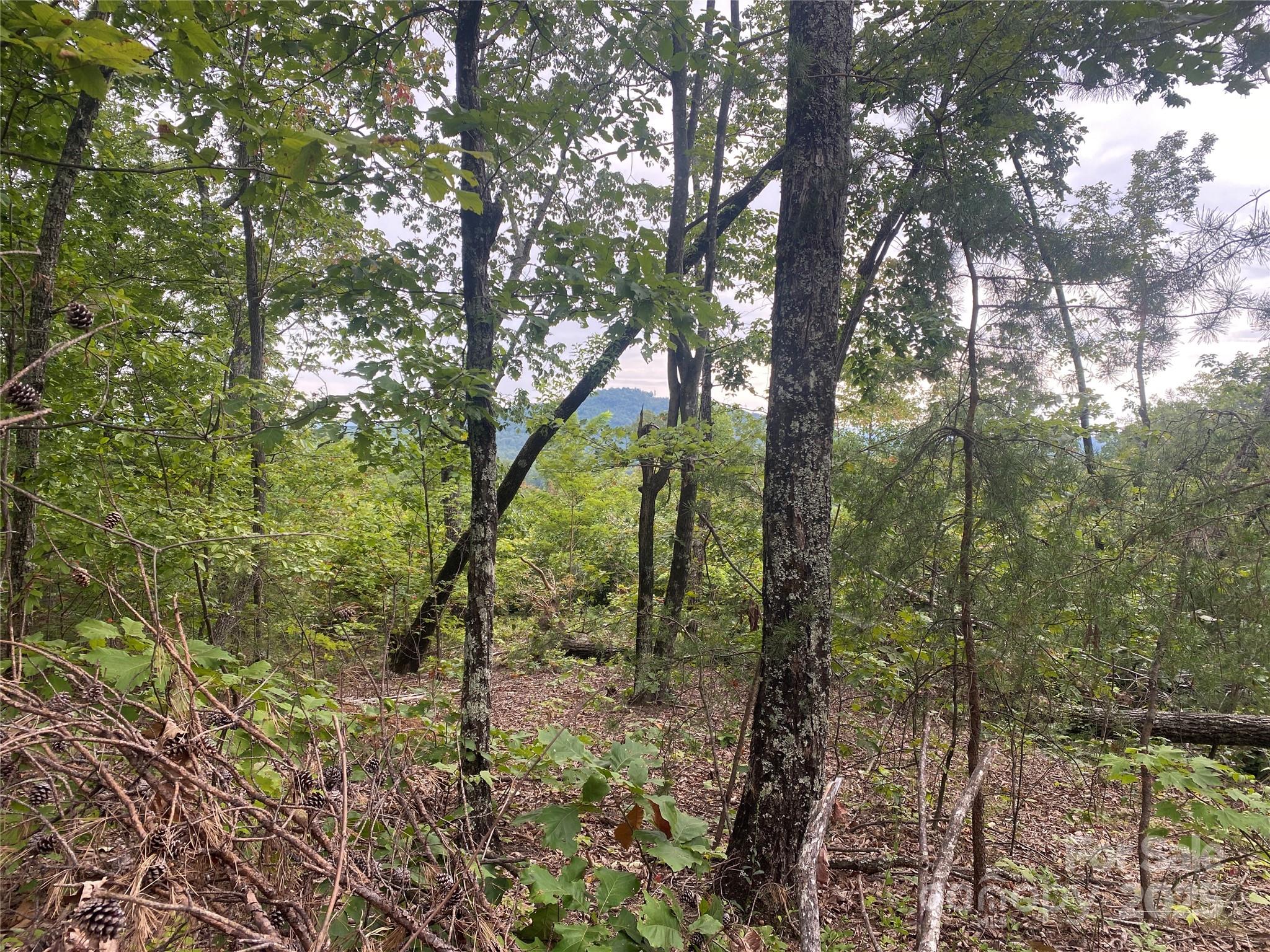 00 Springvalley Drive Property Photo 8