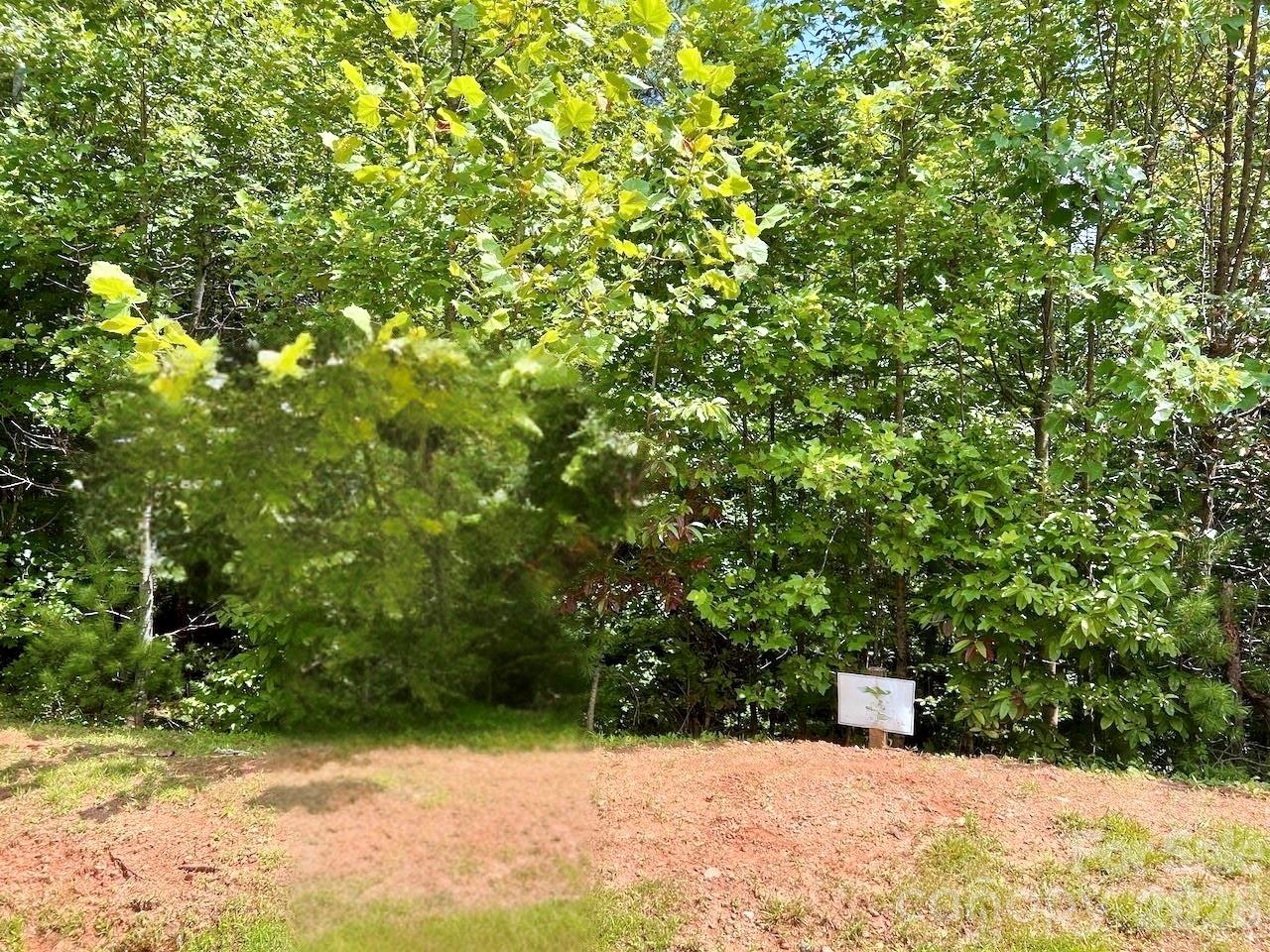3.31 Acres, Lot 37 Poplar Bluff Drive 37 Property Photo 4
