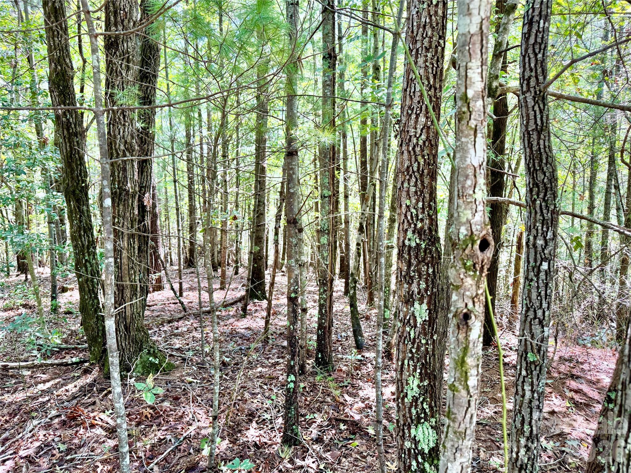 3.31 Acres, Lot 37 Poplar Bluff Drive 37 Property Photo 13