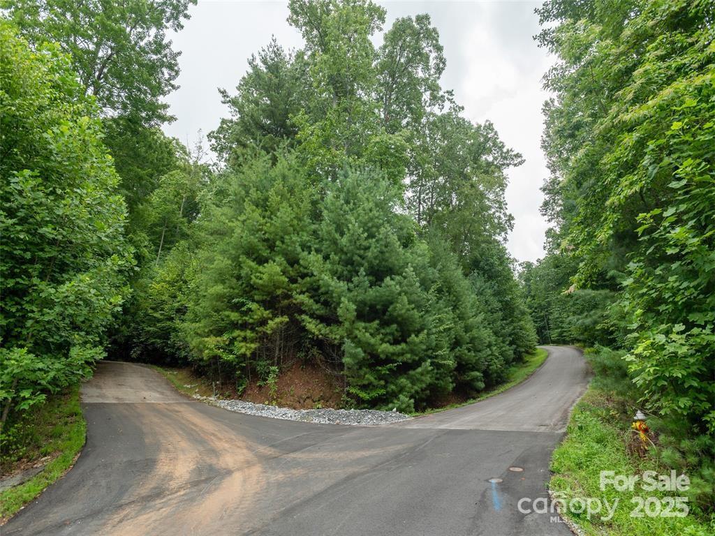 00 Willow Brook Falls None 3 Property Photo 3