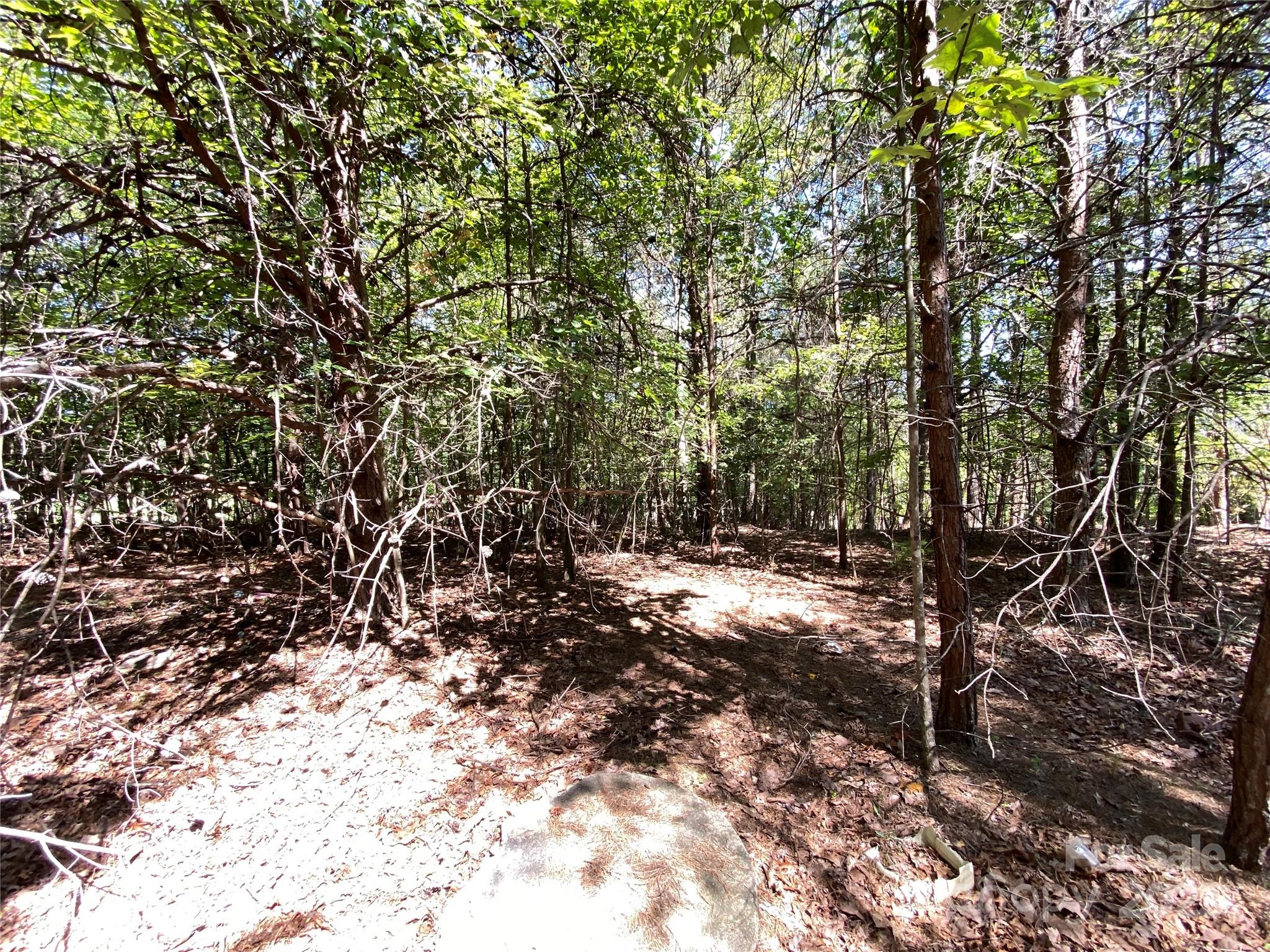 9999 Ridge Way 3 Property Photo 2