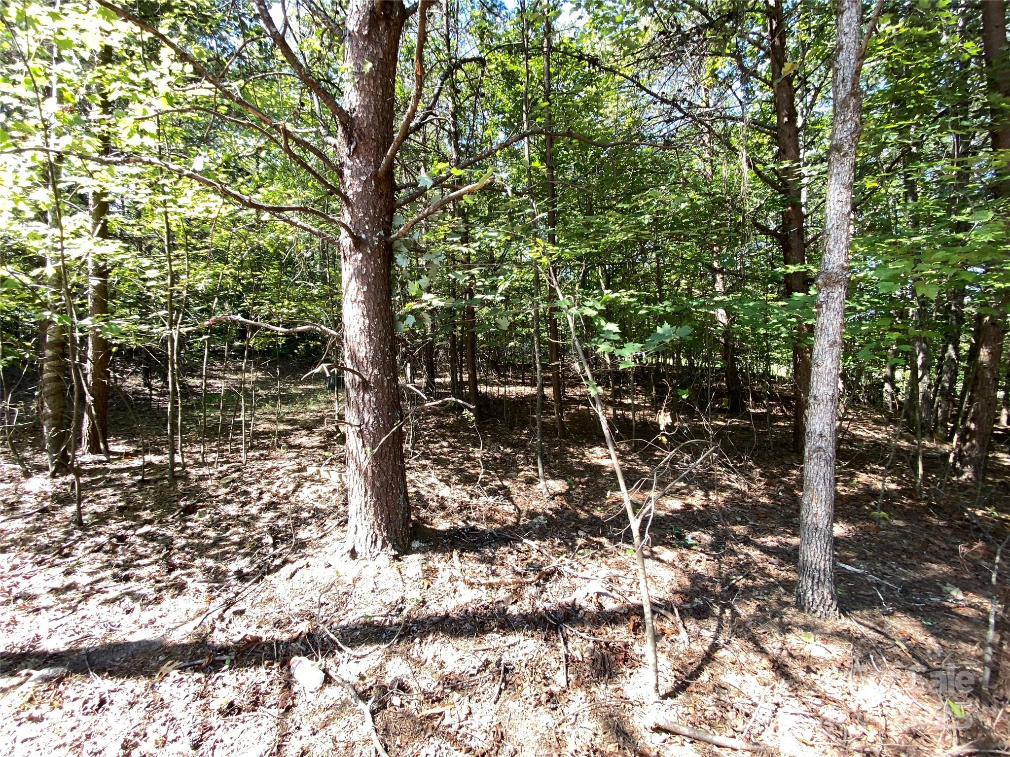 9999 Ridge Way 3 Property Photo 4