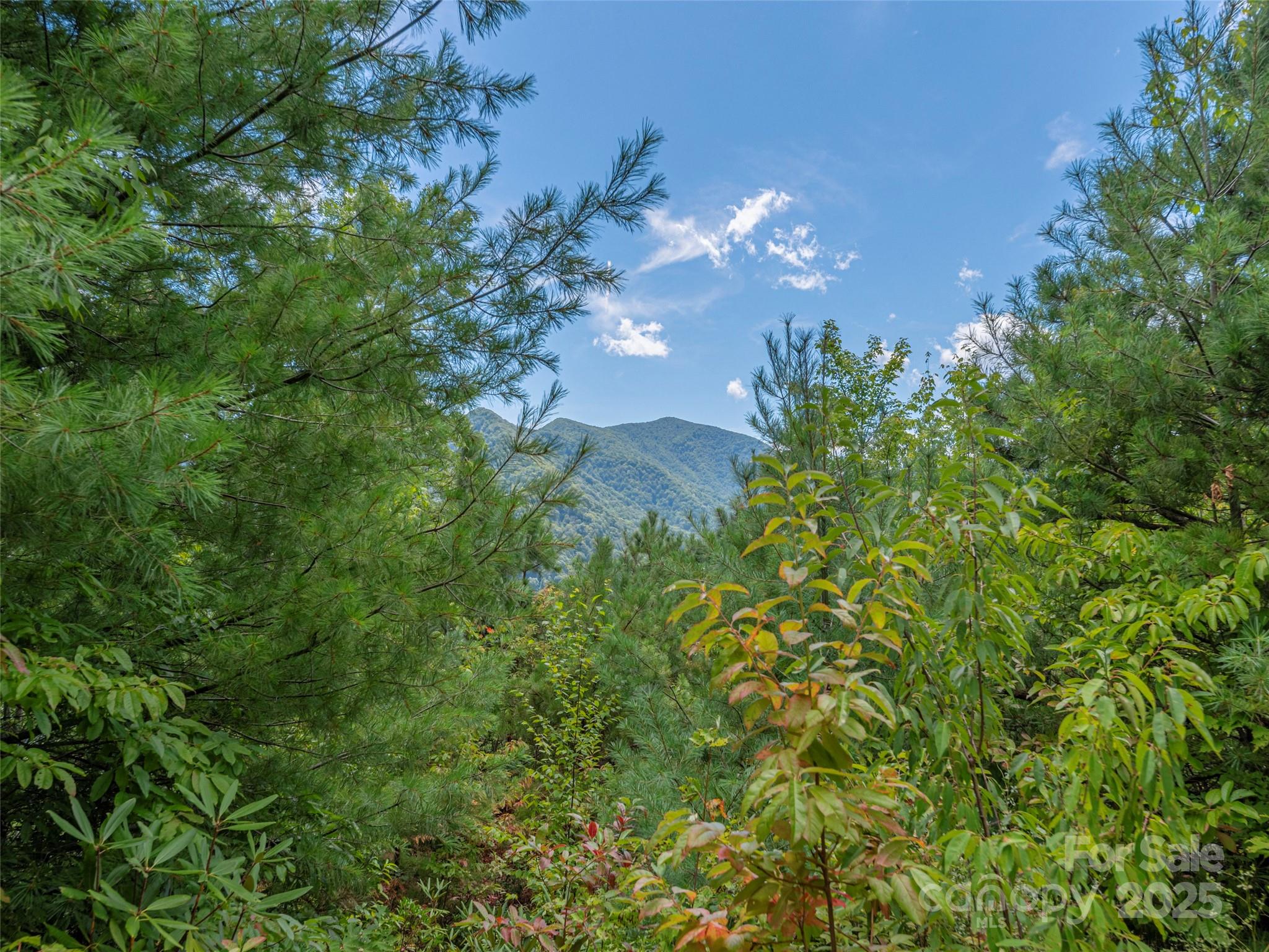 00 Split Rail Drive Property Photo 6