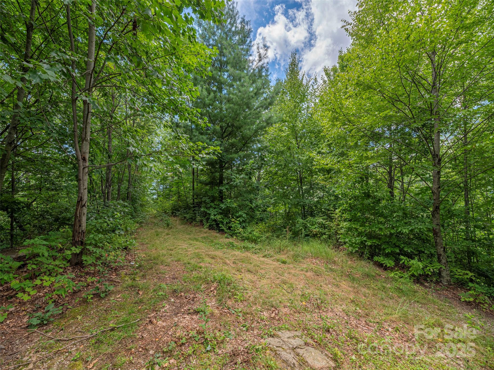 00 Split Rail Drive Property Photo 7