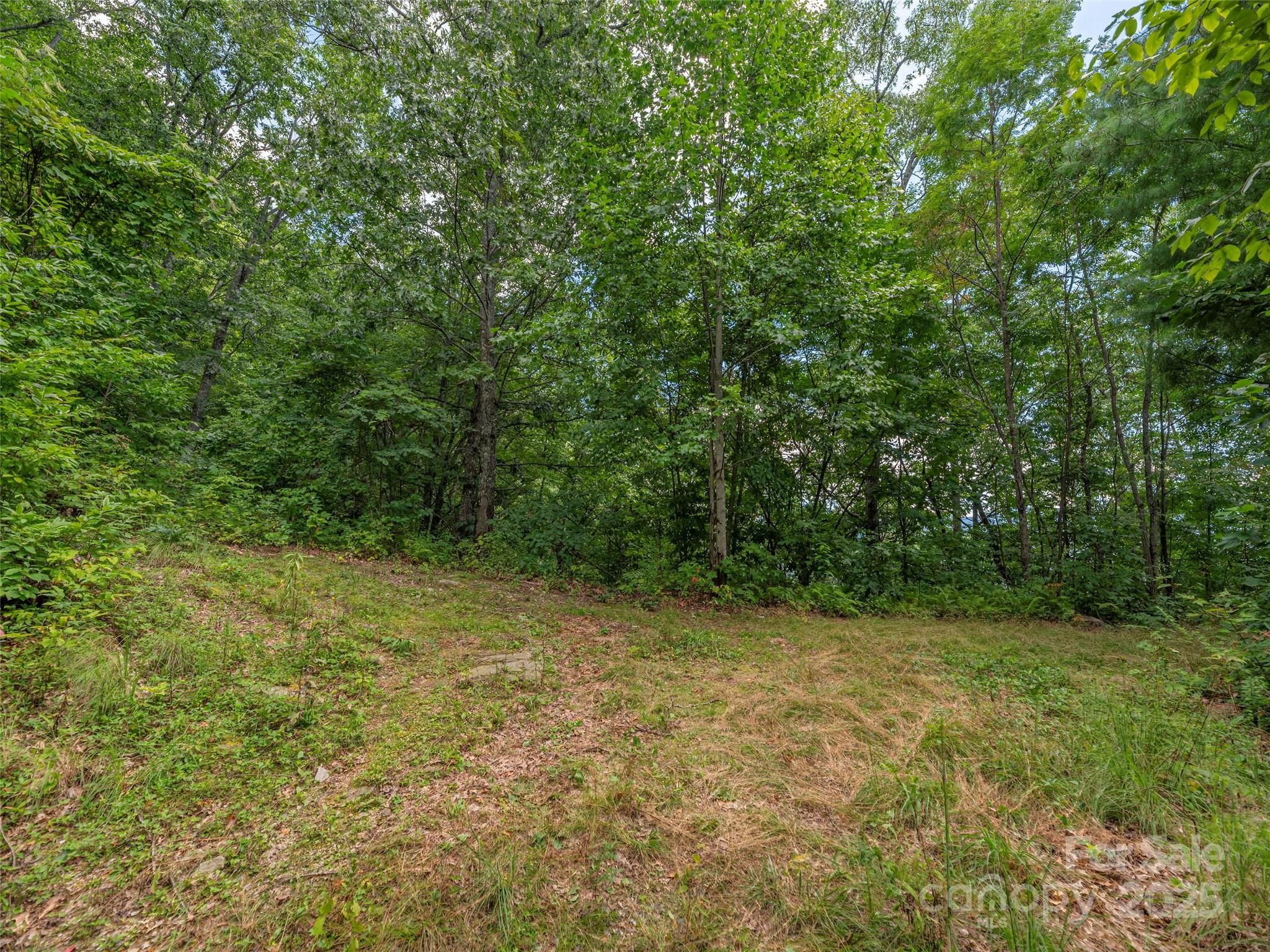 00 Split Rail Drive Property Photo 8