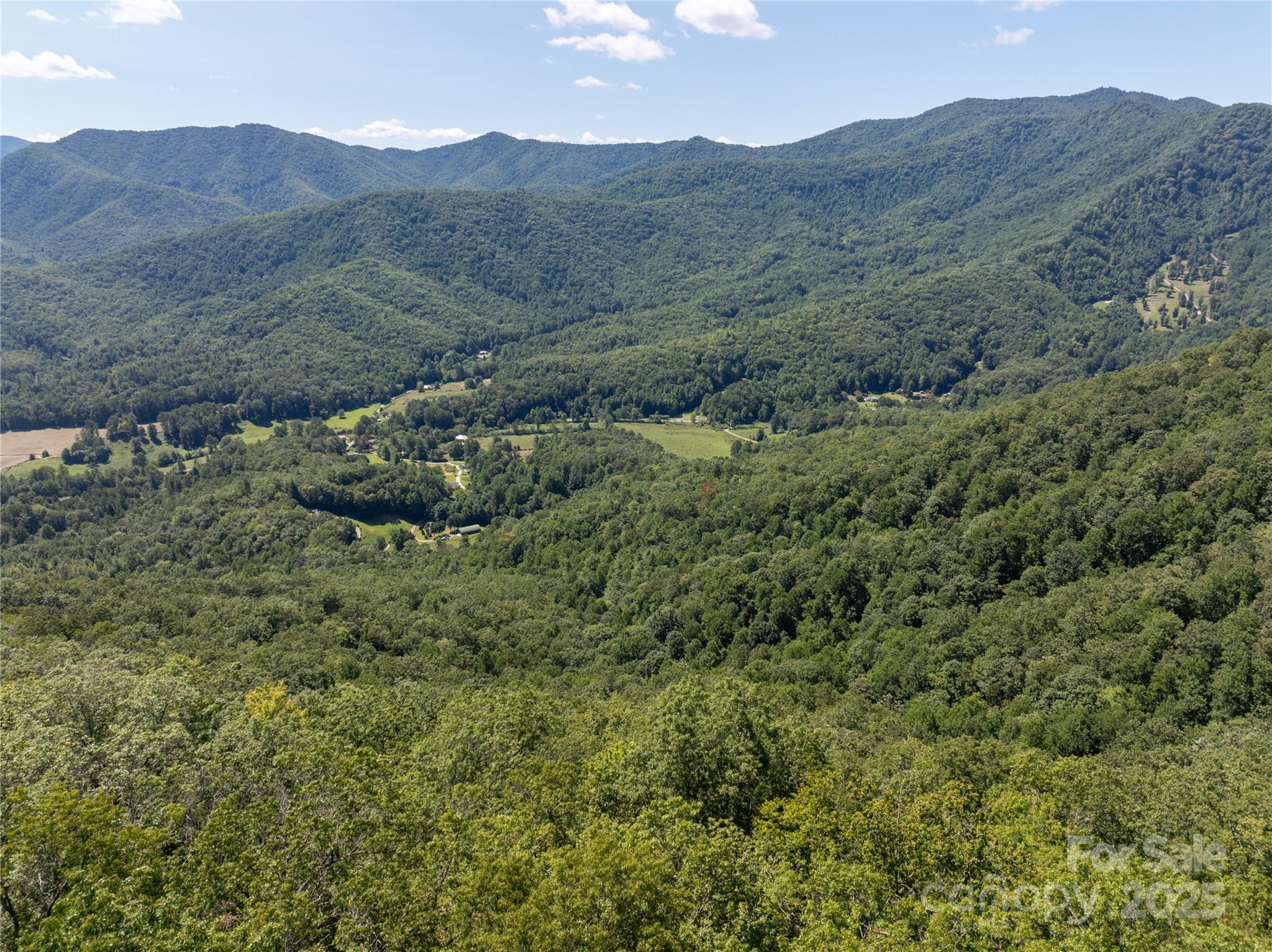 9999 Cindy Cove Trail Property Photo 1