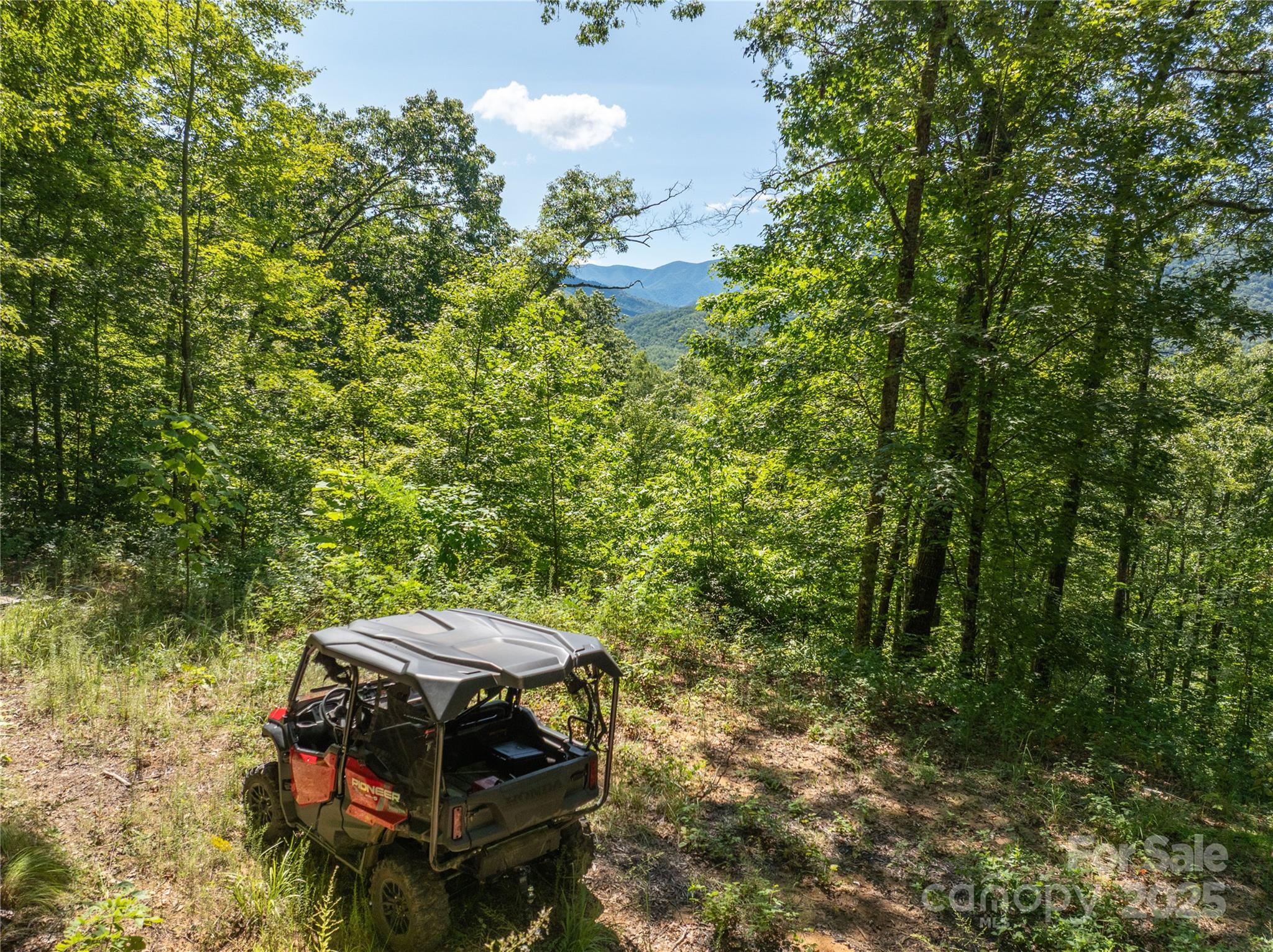 9999 Cindy Cove Trail Property Photo 3
