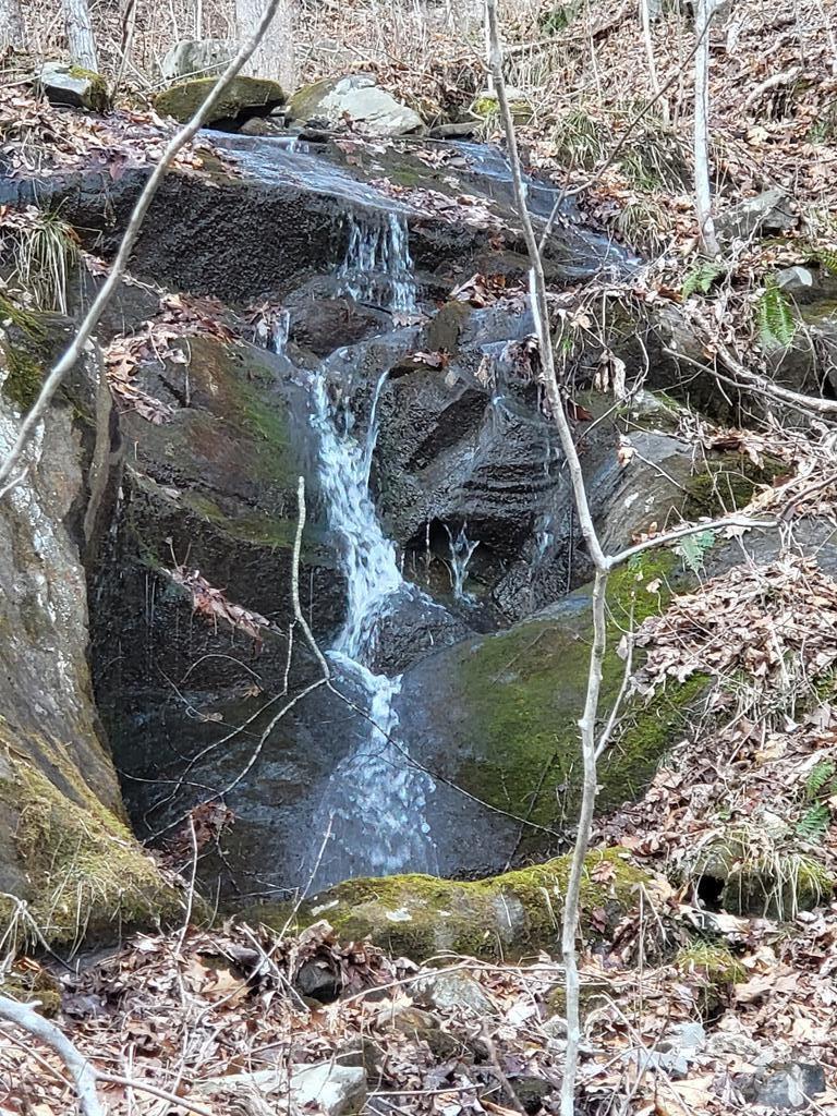 9999 Cindy Cove Trail Property Photo 4