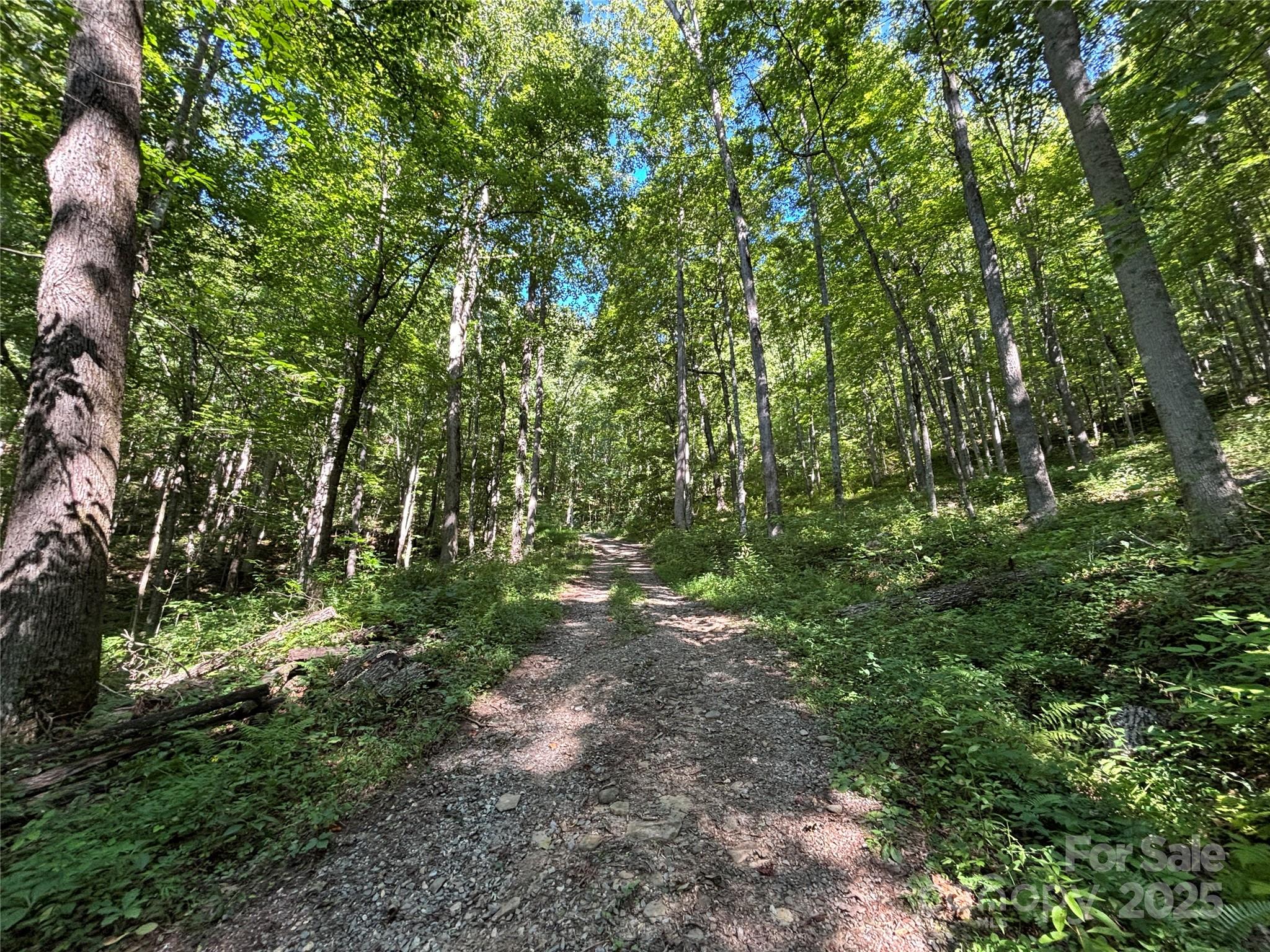 9999 Cindy Cove Trail Property Photo 6