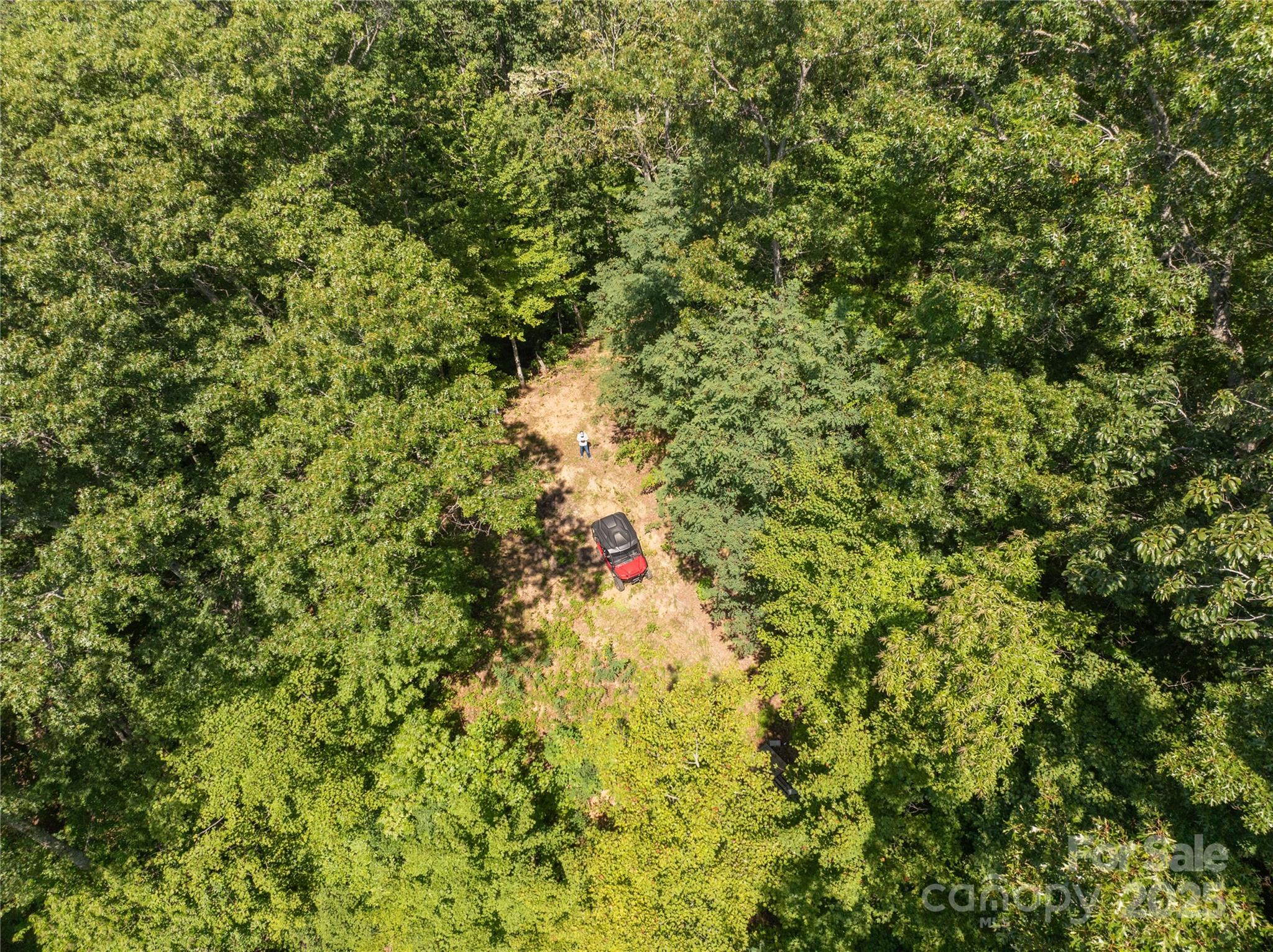 9999 Cindy Cove Trail Property Photo 7