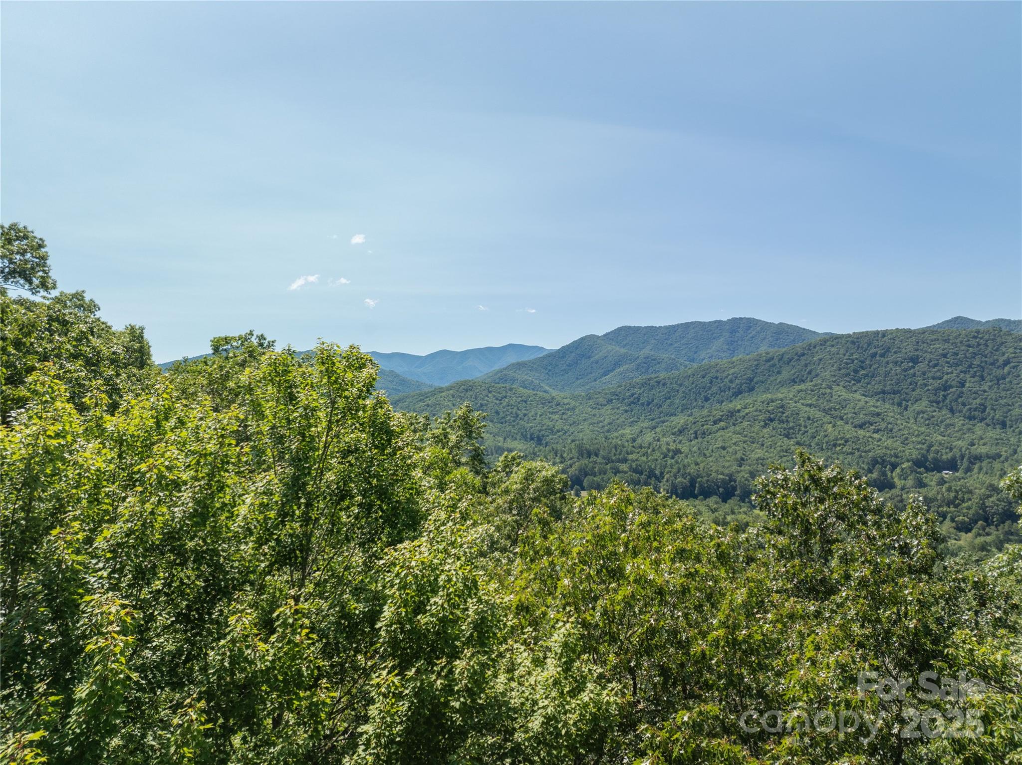 9999 Cindy Cove Trail Property Photo 8