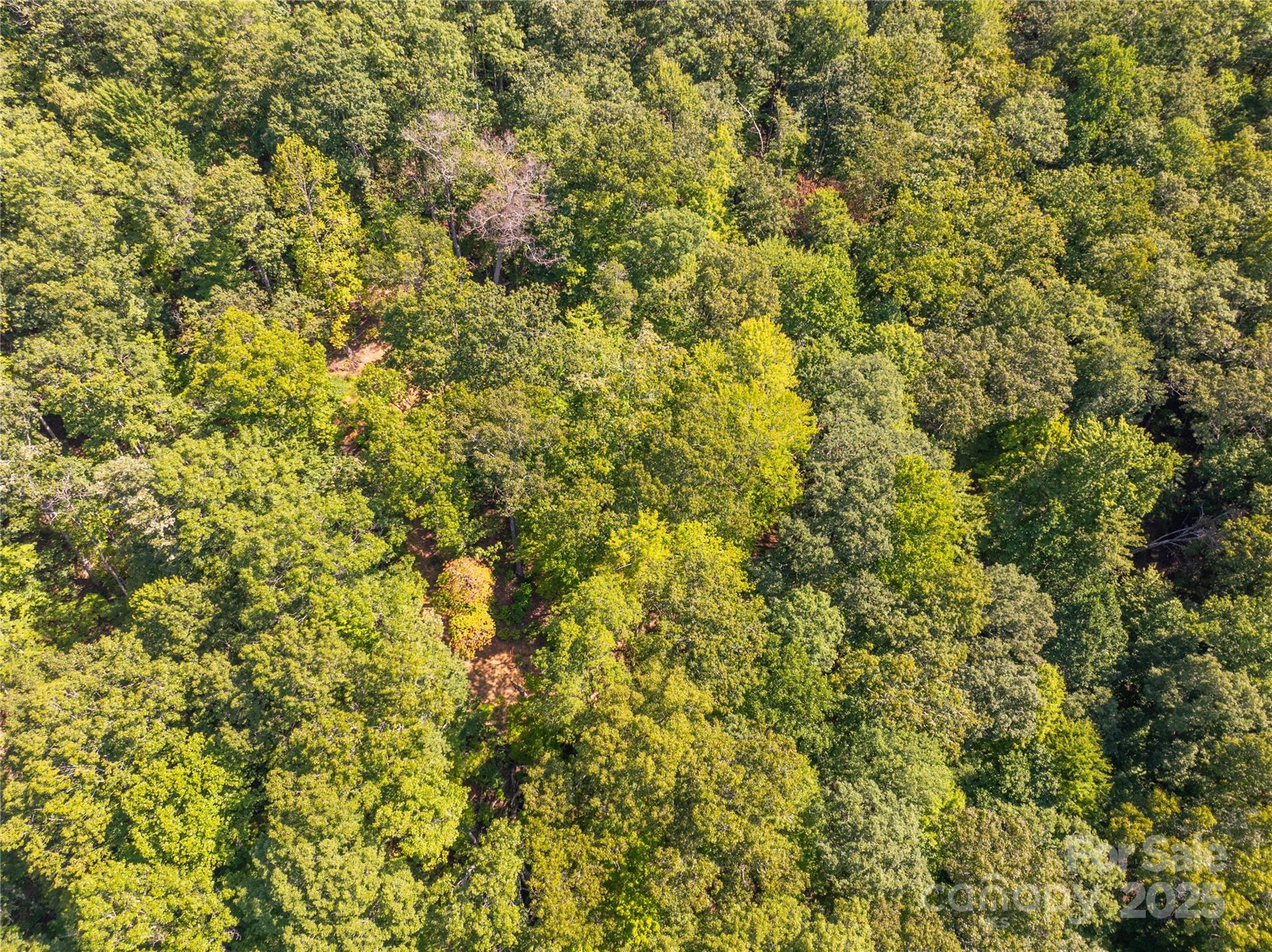 9999 Cindy Cove Trail Property Photo 10