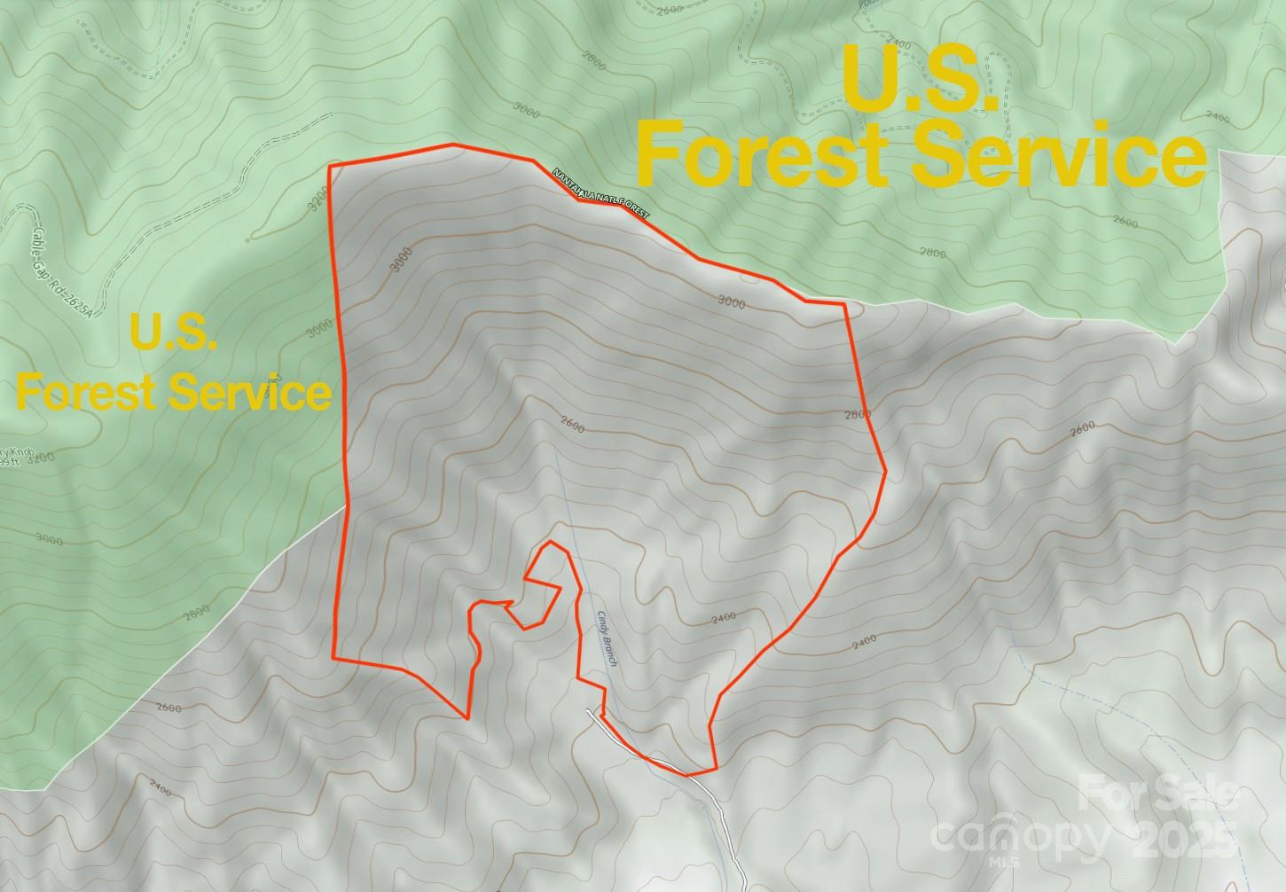 9999 Cindy Cove Trail Property Photo 11
