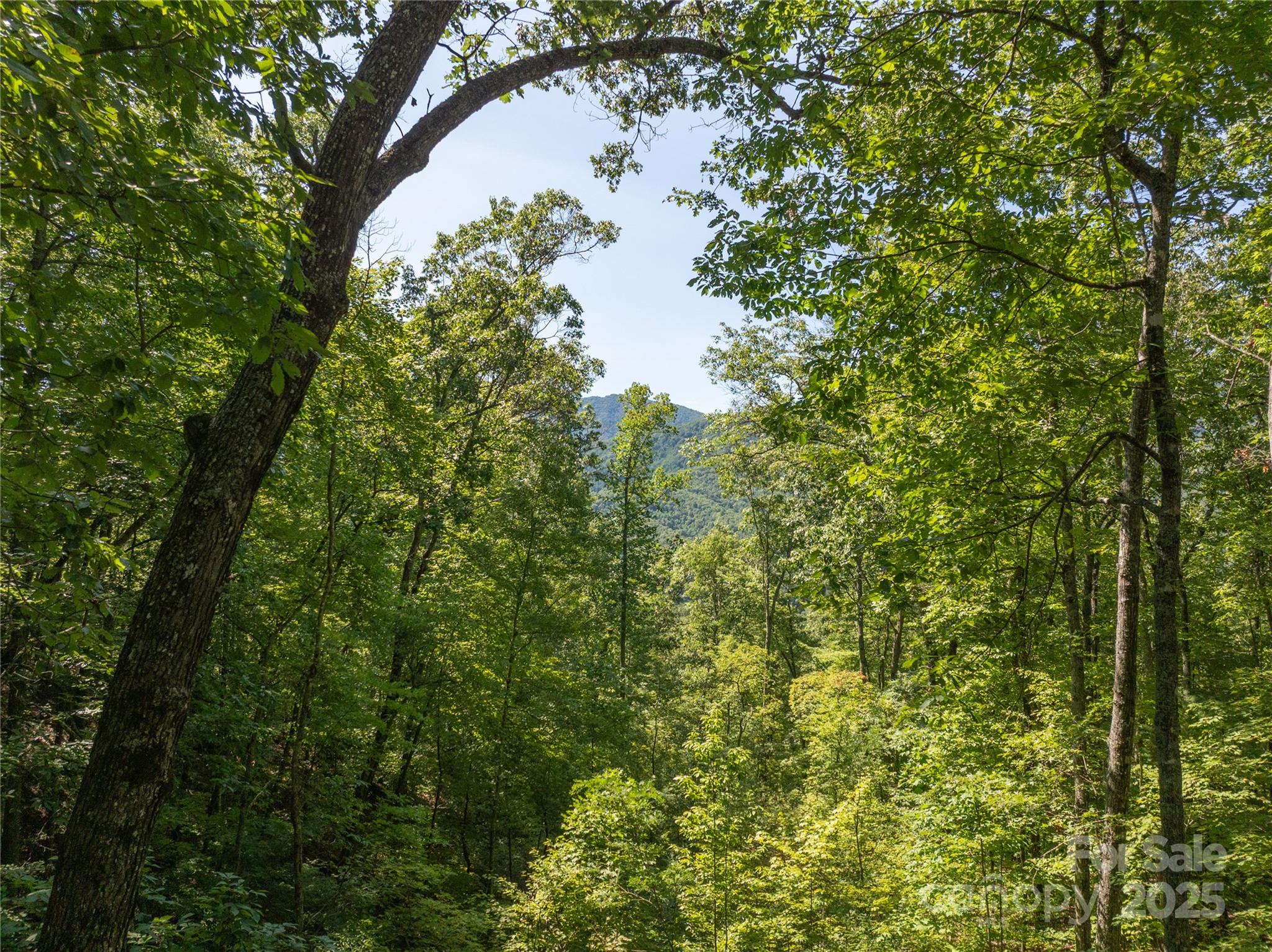 9999 Cindy Cove Trail Property Photo 12
