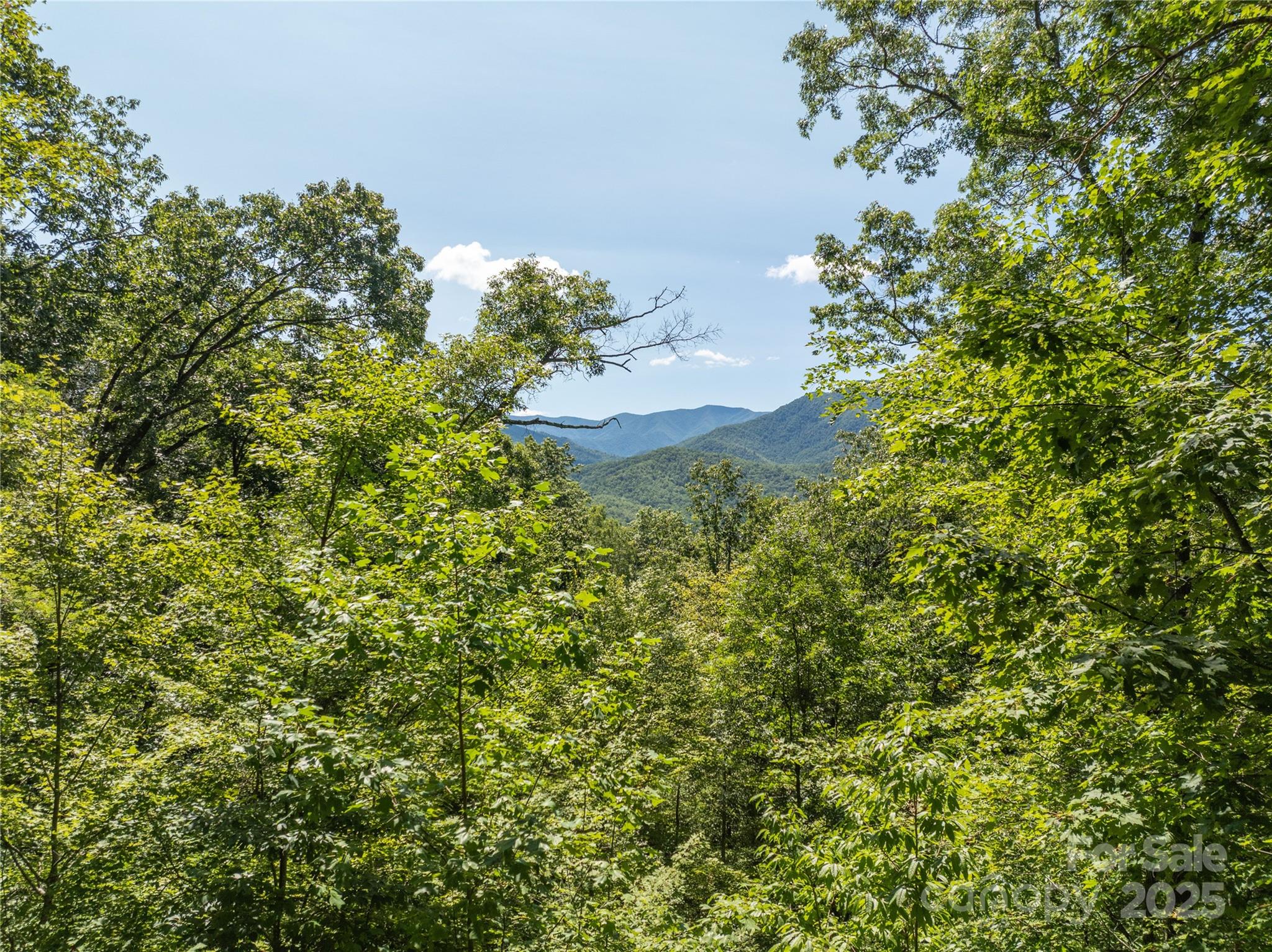 9999 Cindy Cove Trail Property Photo 13
