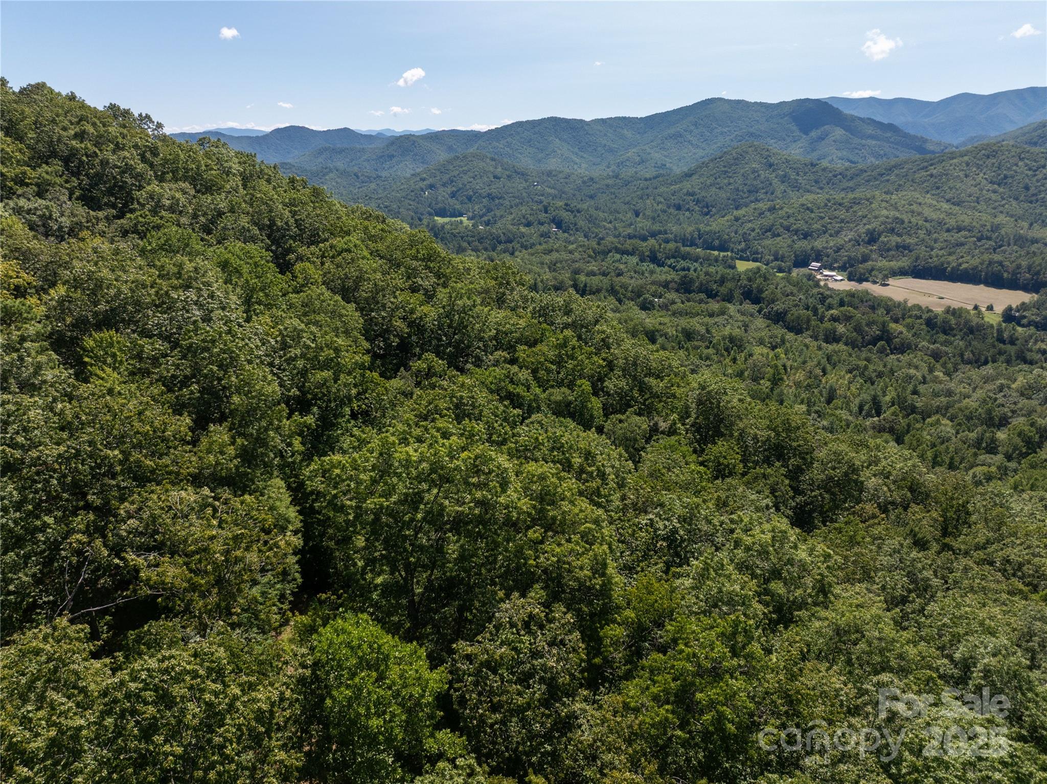 9999 Cindy Cove Trail Property Photo 14