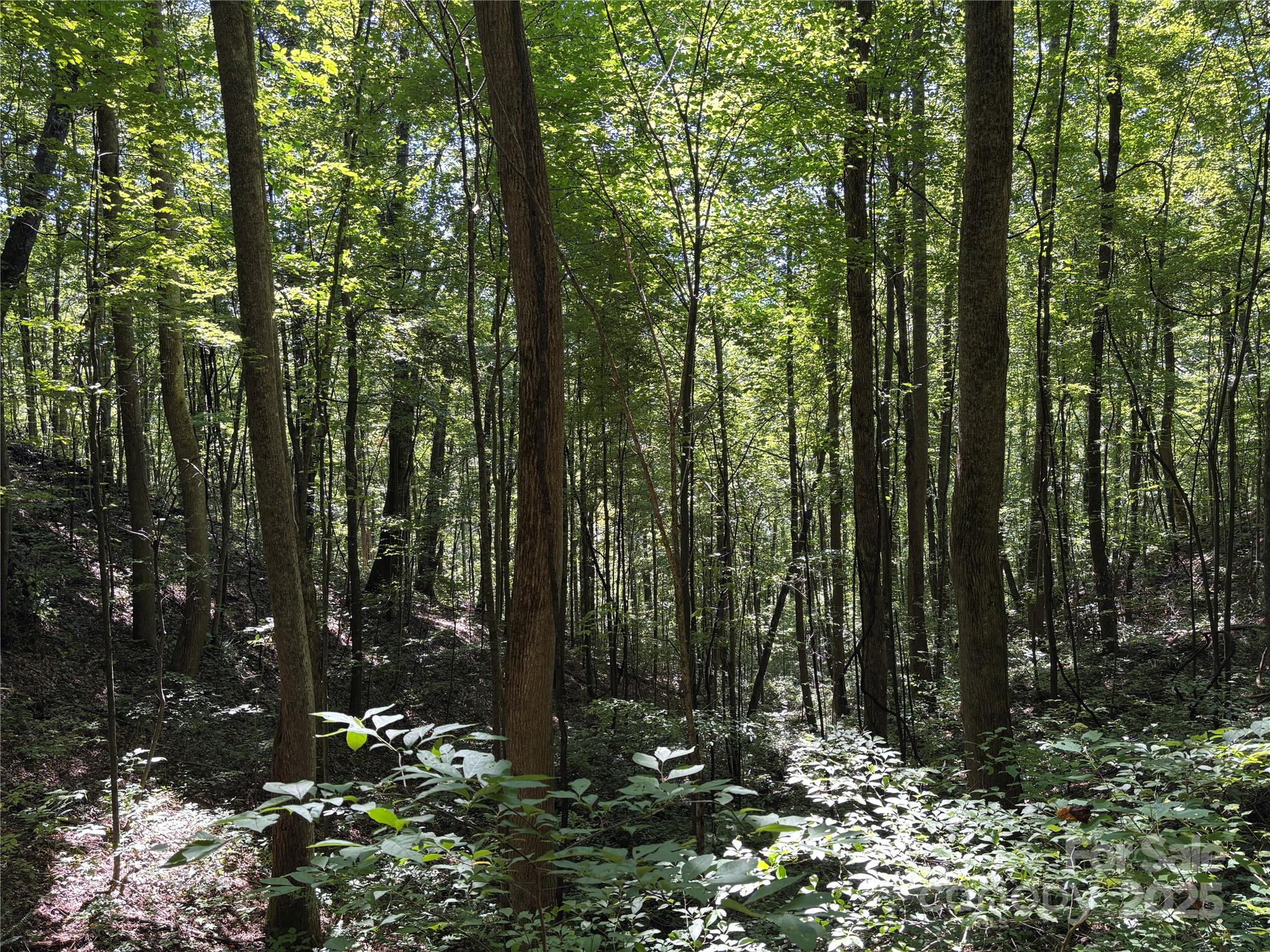 9999 Cindy Cove Trail Property Photo 15