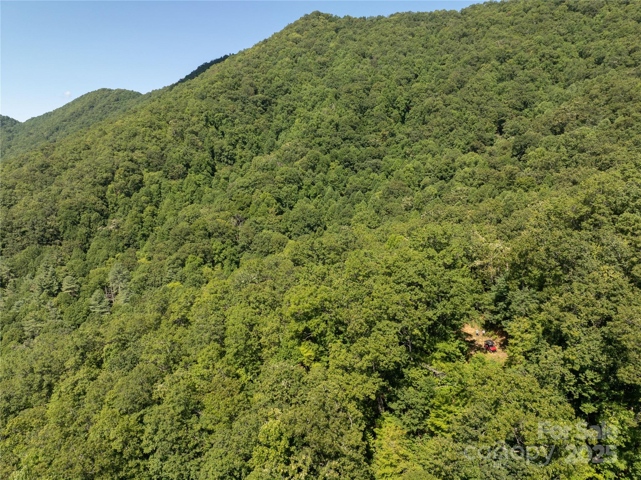9999 Cindy Cove Trail Property Photo 17