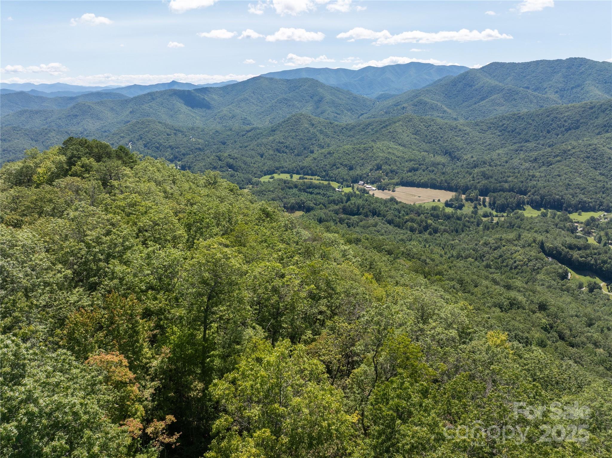 9999 Cindy Cove Trail Property Photo 18