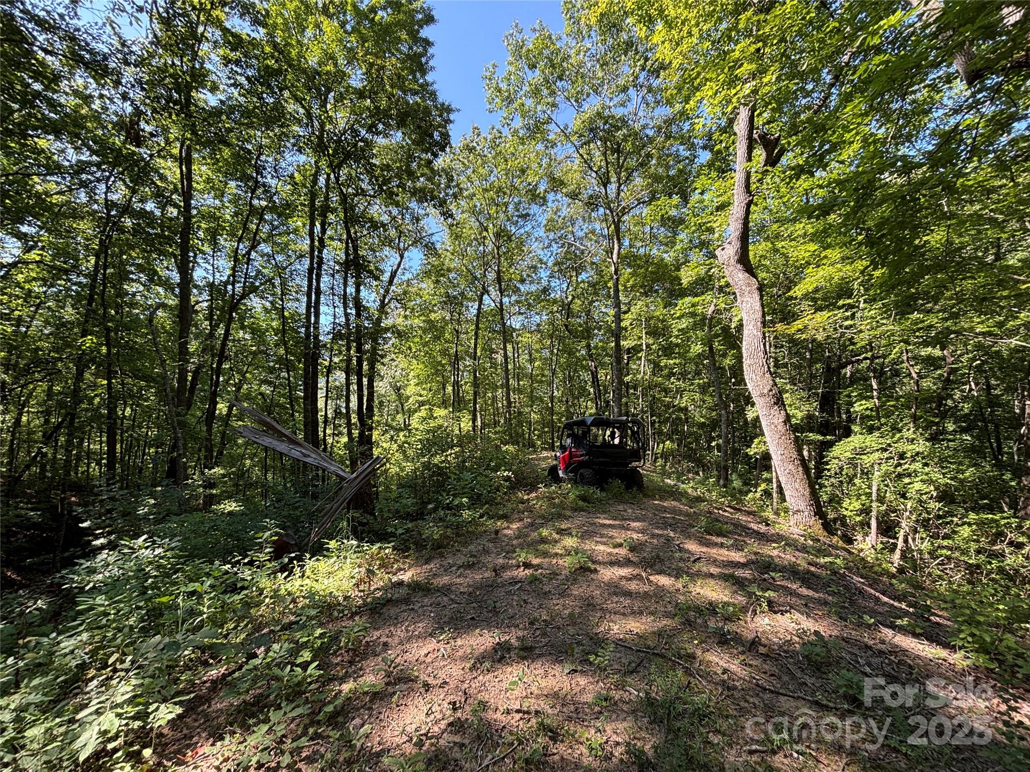 9999 Cindy Cove Trail Property Photo 20
